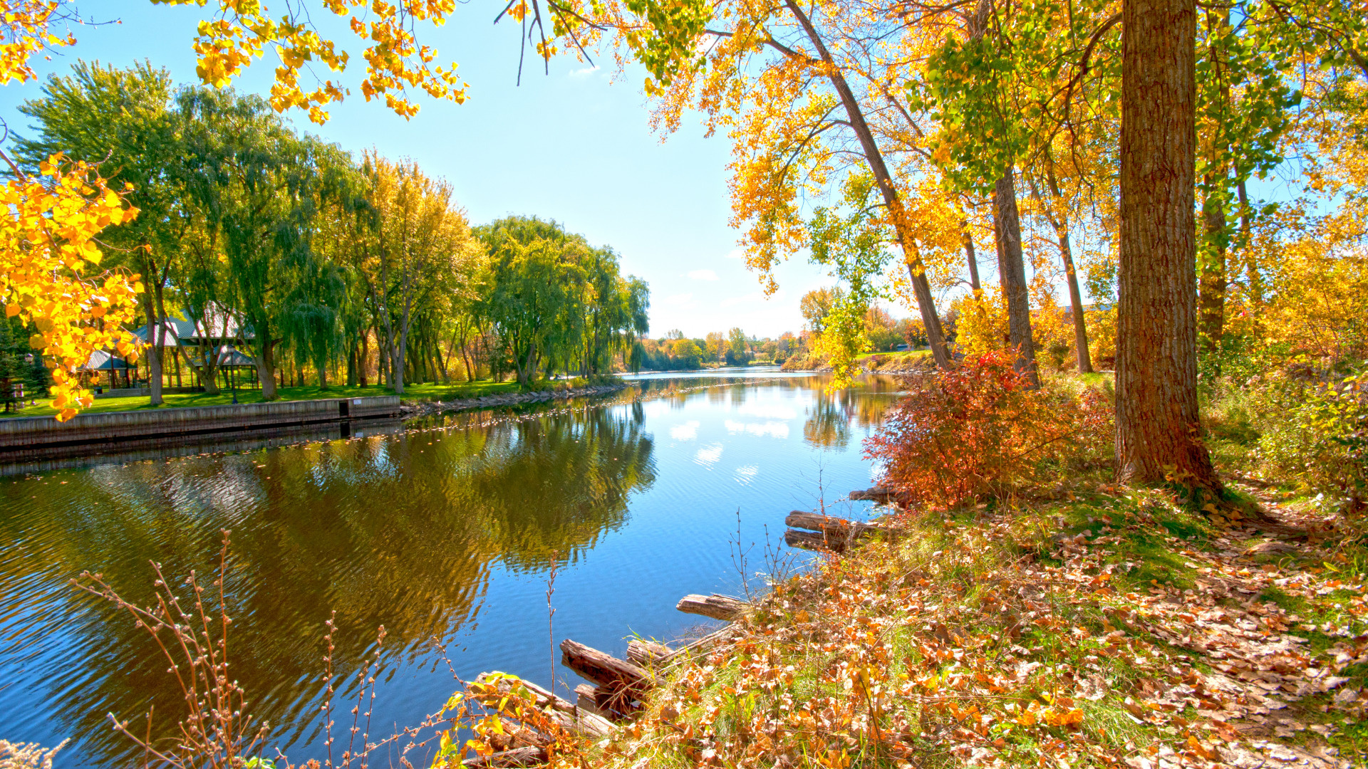 Autumn trees, Riverside walk, nature, wallpaper, 1920x1080 Full HD Desktop