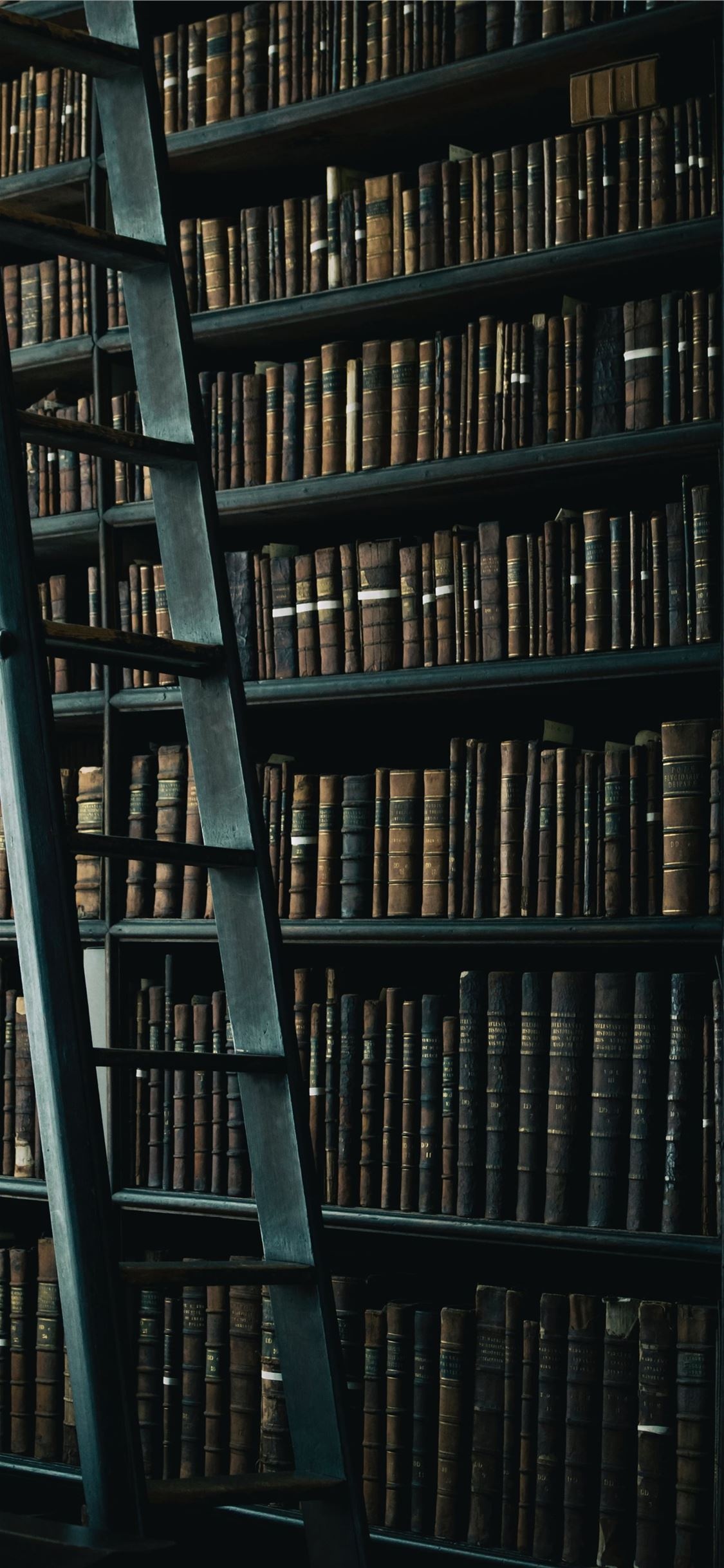 Library, Shelf, Ladder, Wallpaper, 1130x2440 HD Phone