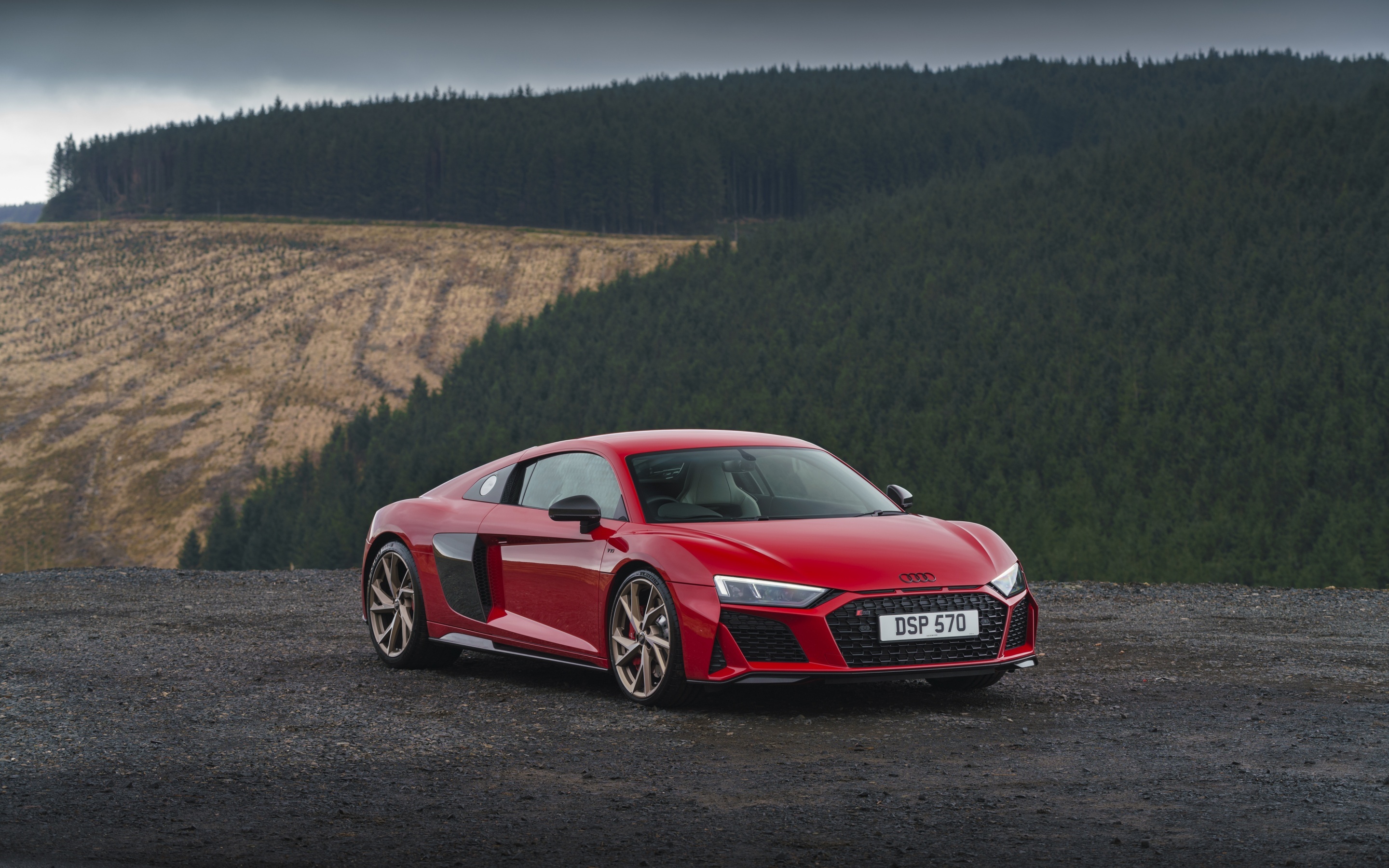 Audi R8 V10 Performance, forested hillside, gravel overlook, HD Desktop wallpaper
