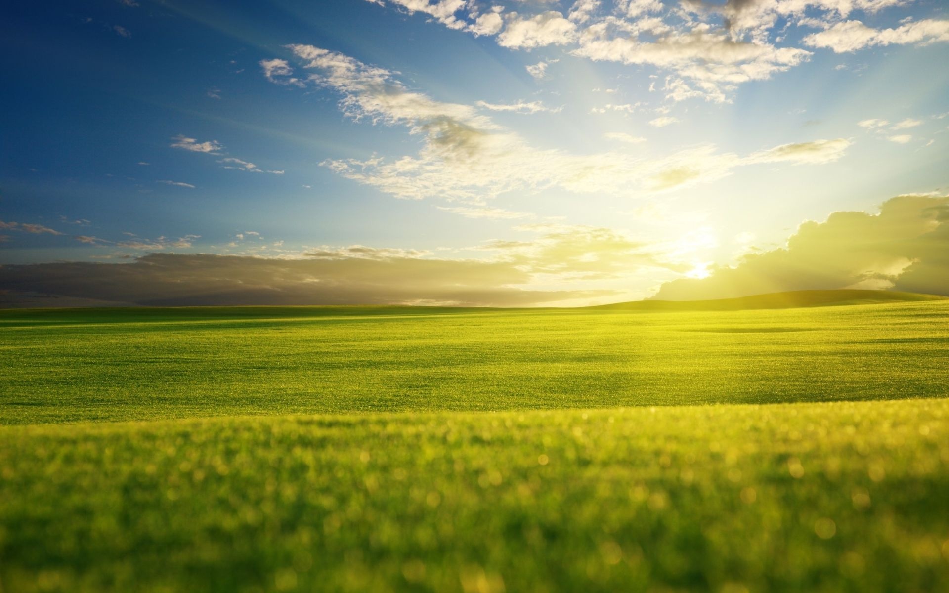 sunlit green grassland, bright sunburst through clouds, partly cloudy blue sky, HD Desktop wallpaper
