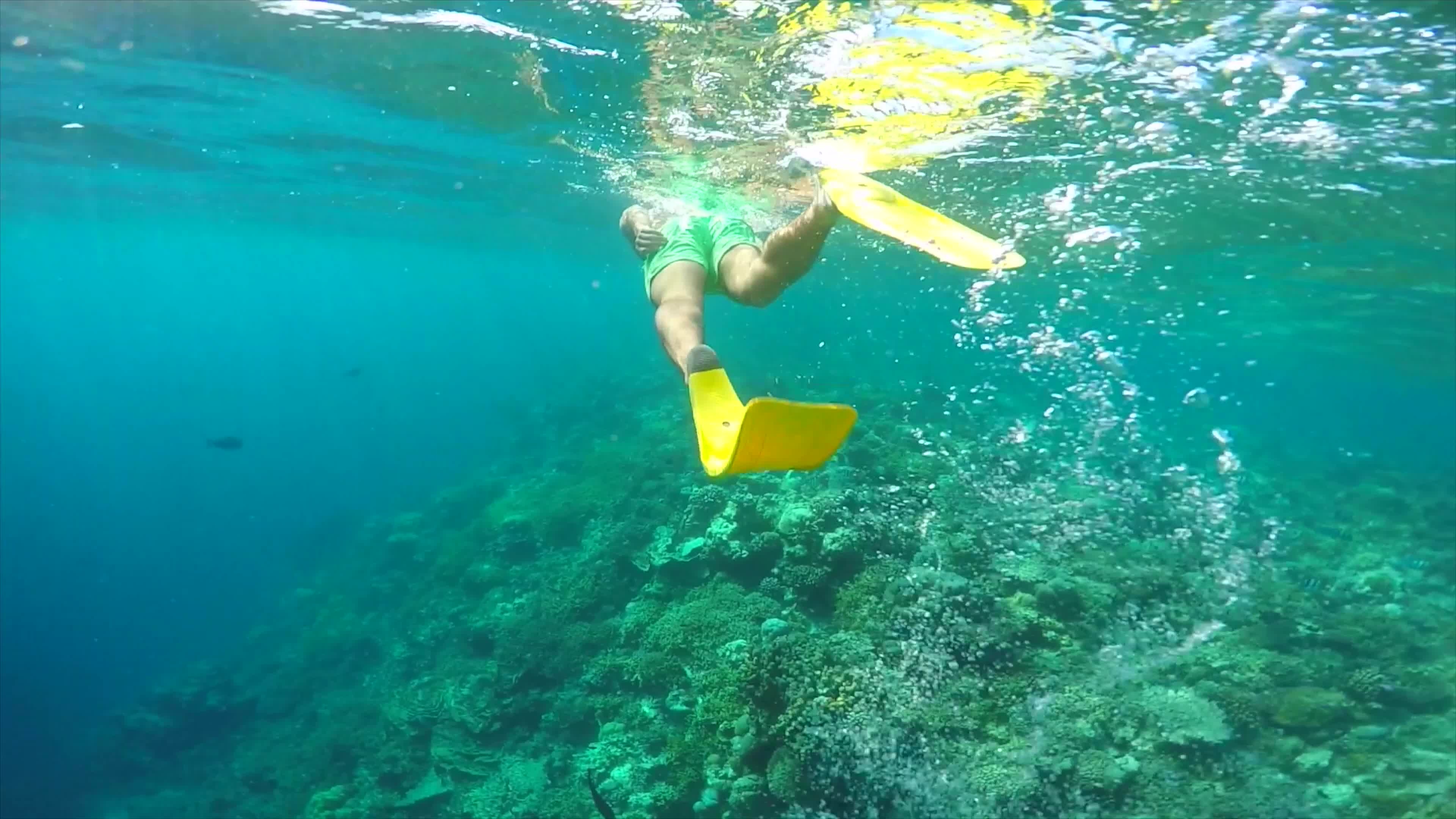 Snorkeling, Man with Yellow Fins, Coral Reef, 3840x2160 4K Desktop