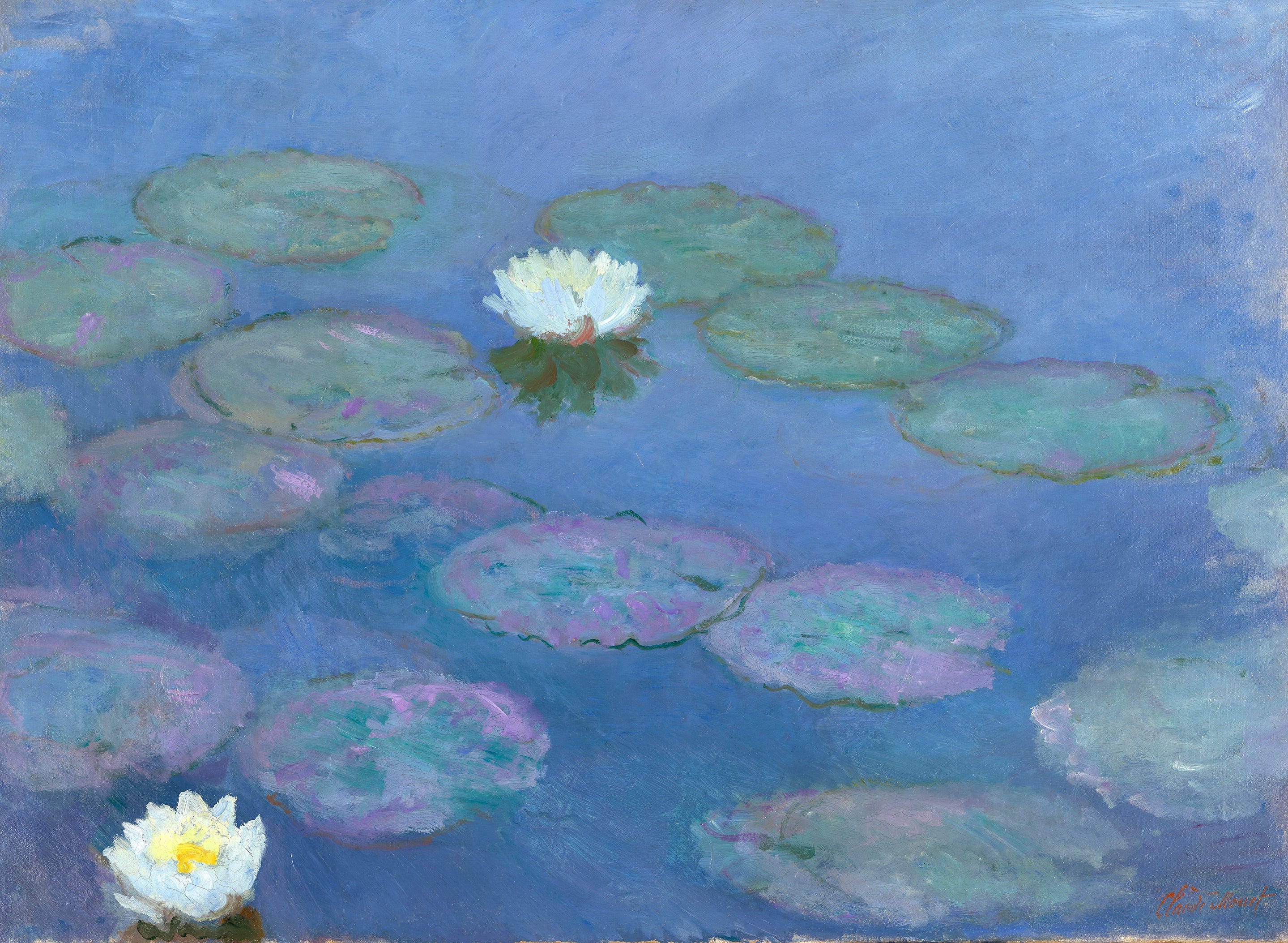 Claude Monet Water Lilies, white water lily blossoms, floating lily pads, HD Desktop wallpaper