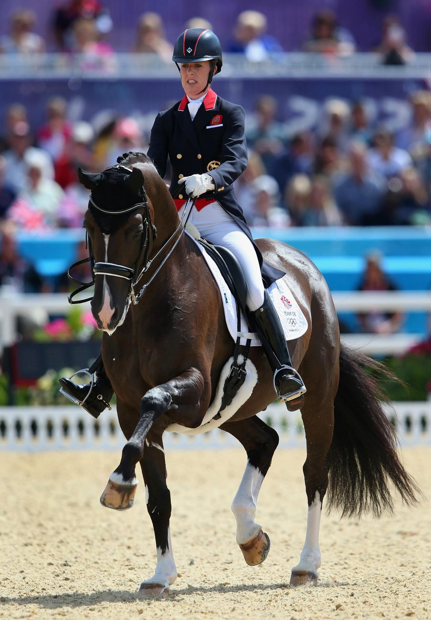 Dressage grand prix, Elite dressage rider, Equestrian elegance, Dressage horse love, 1430x2050 HD Phone