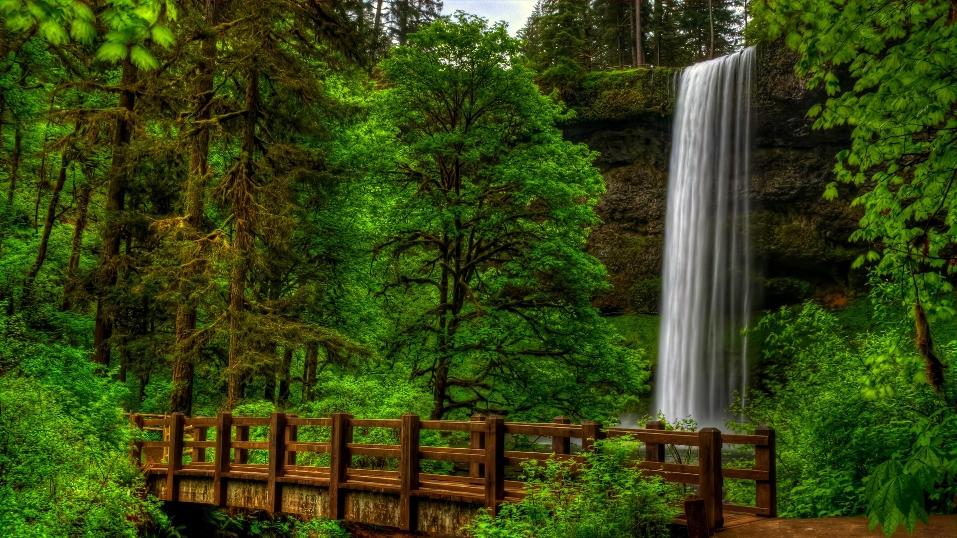 Waterfall in forest, Nature's cascade, Natural wonder, Refreshing oasis, 1920x1080 Full HD Desktop