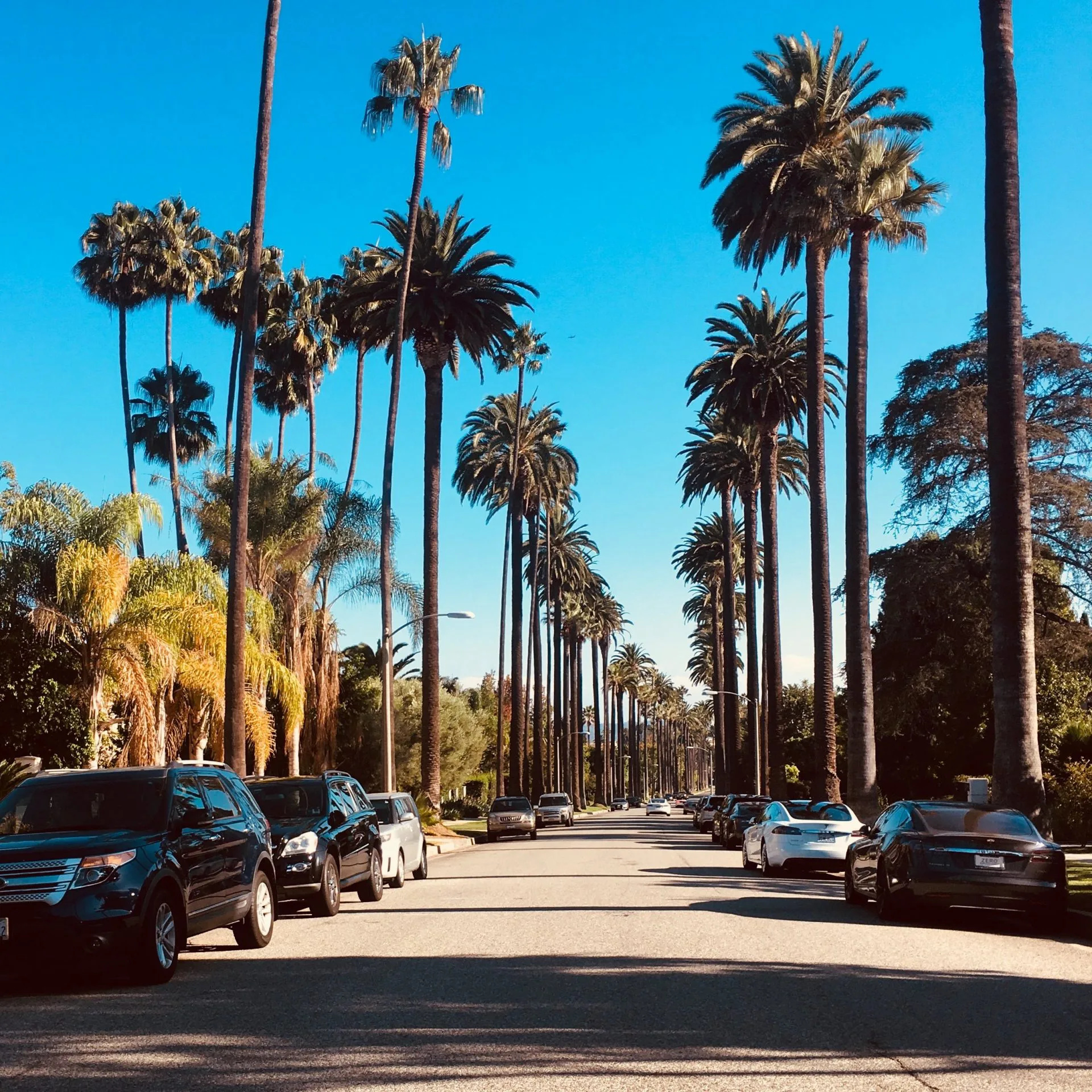 Beverly Hills, Wohnort der Stars, Beverly Hills, Stars, 1920x1920 HD Phone