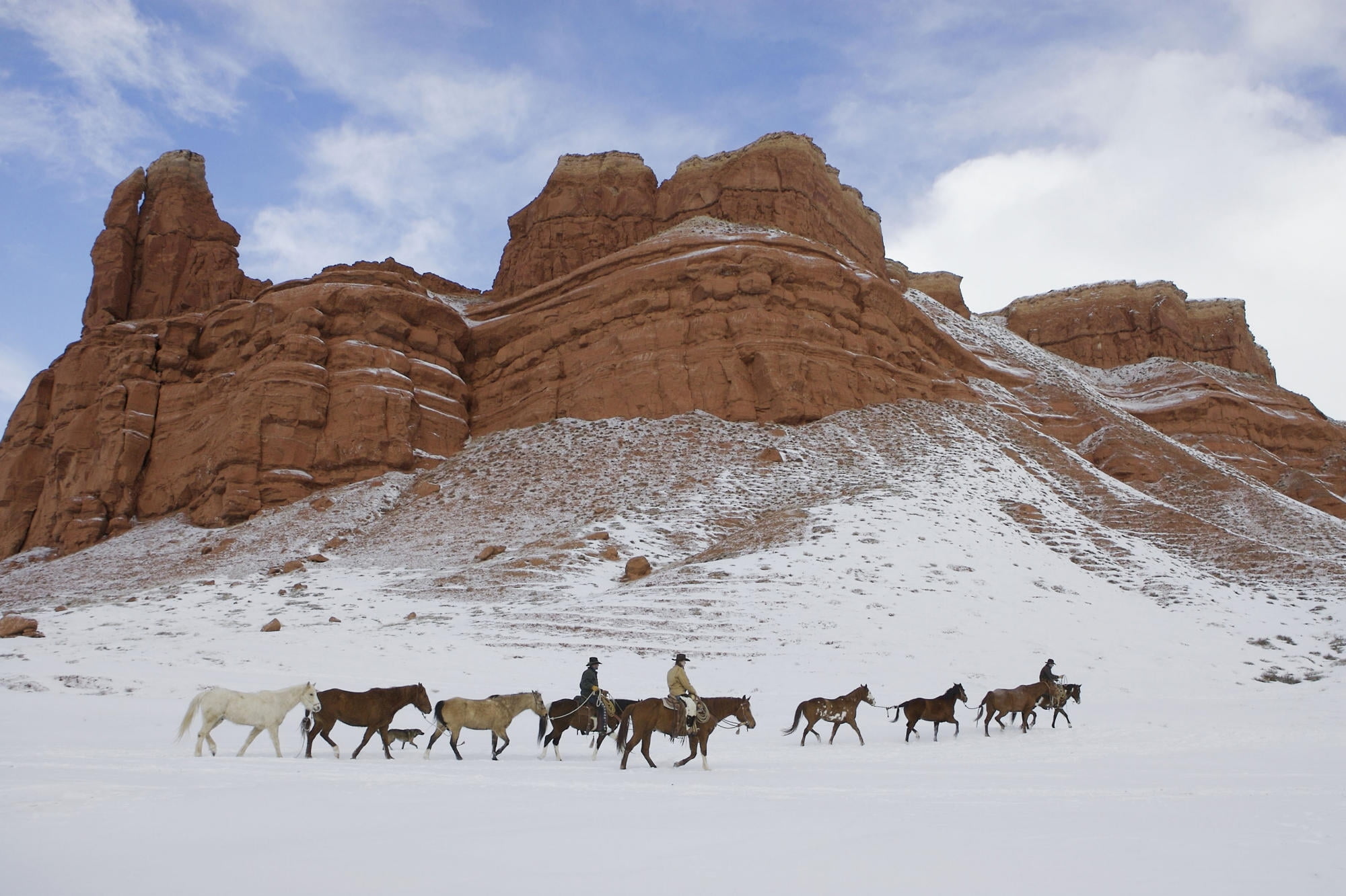 Close up photograph of brown horse, wyoming HD wallpaper 2000x1340