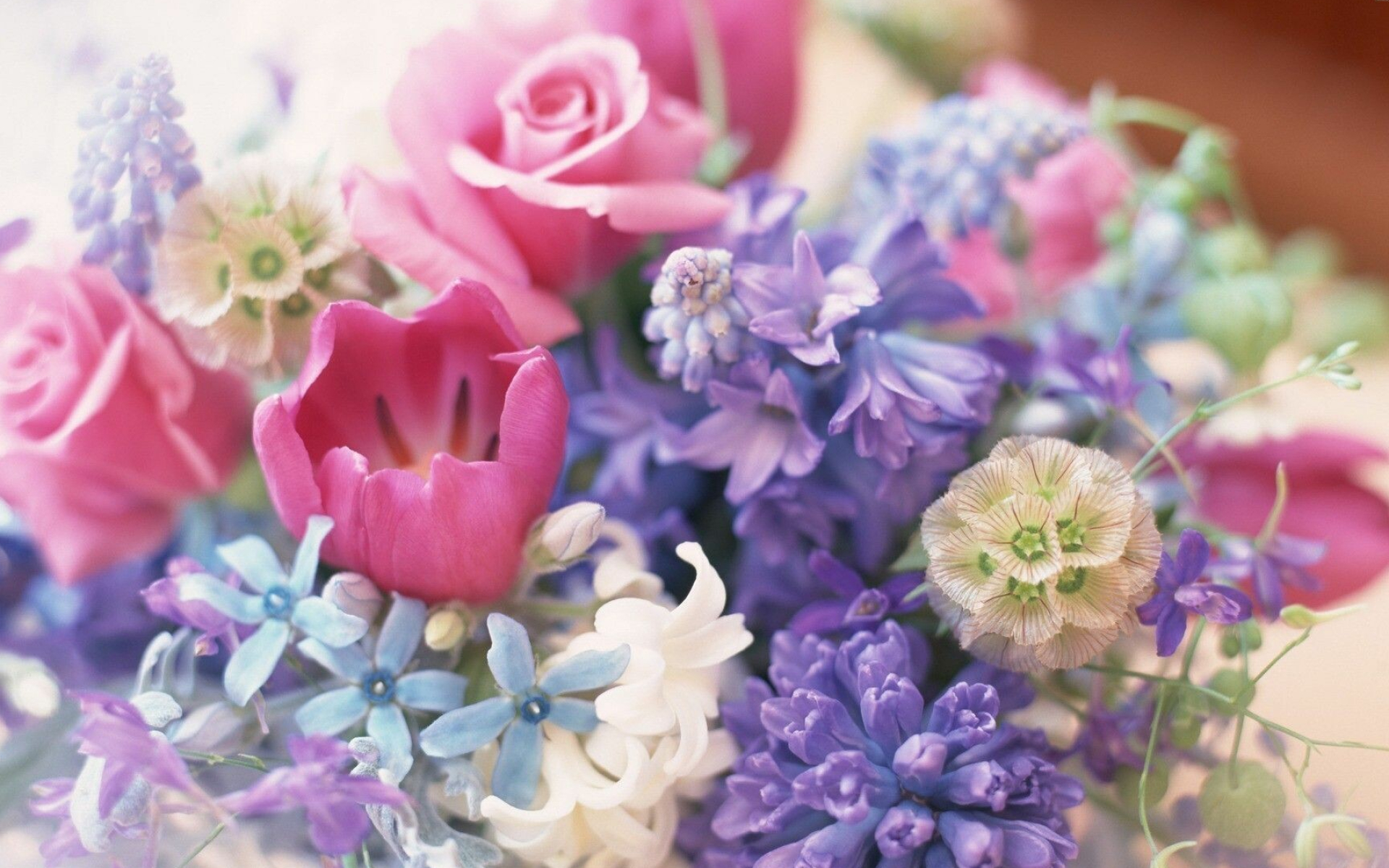 Flower Bouquet, Flower bouquet wallpapers, Hyacinth wedding bouquet, Beautiful flowers, 1920x1200 HD Desktop