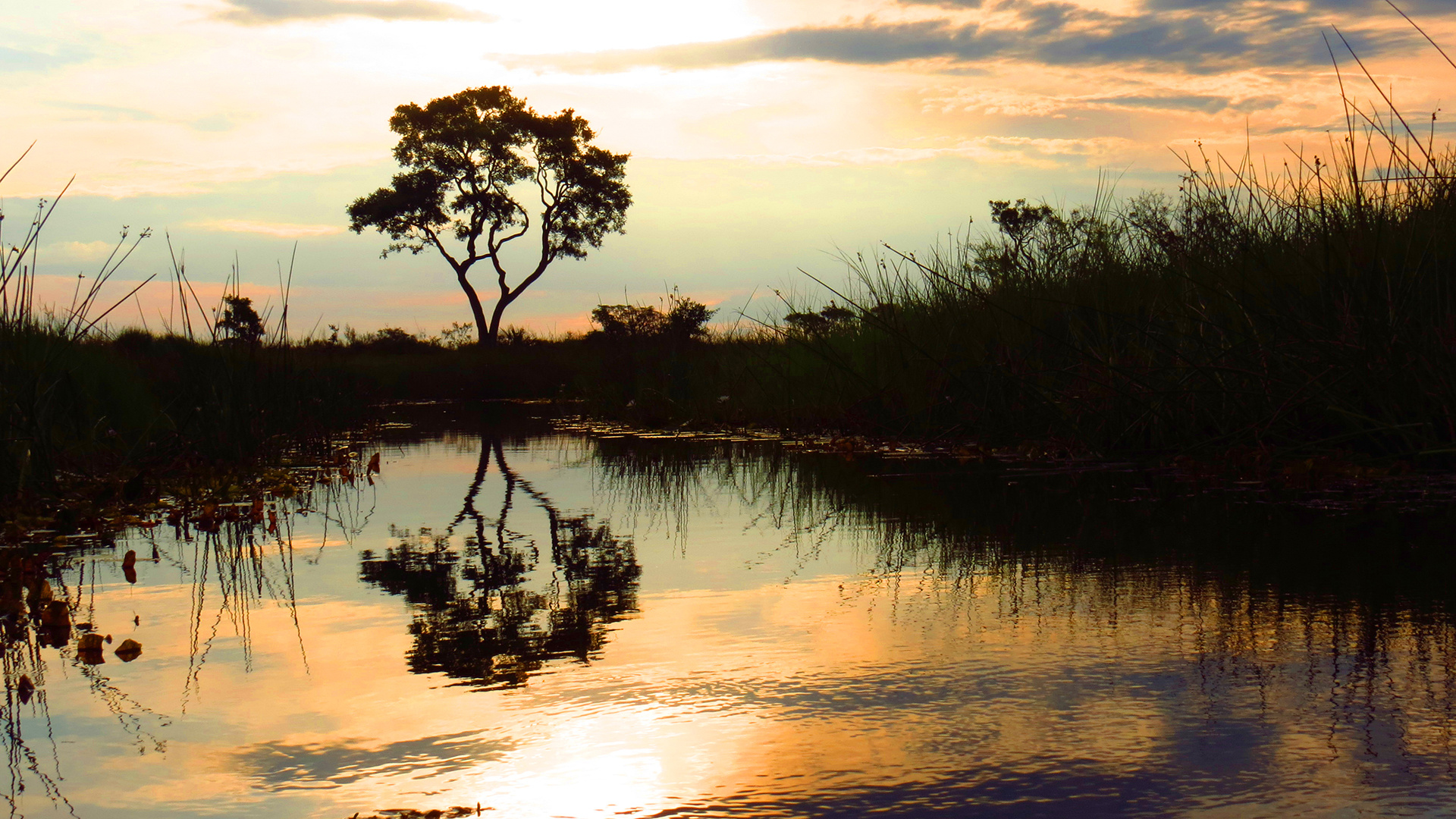 Climate change, Mitigation policies, African river basins, Connection, 1920x1080 Full HD Desktop