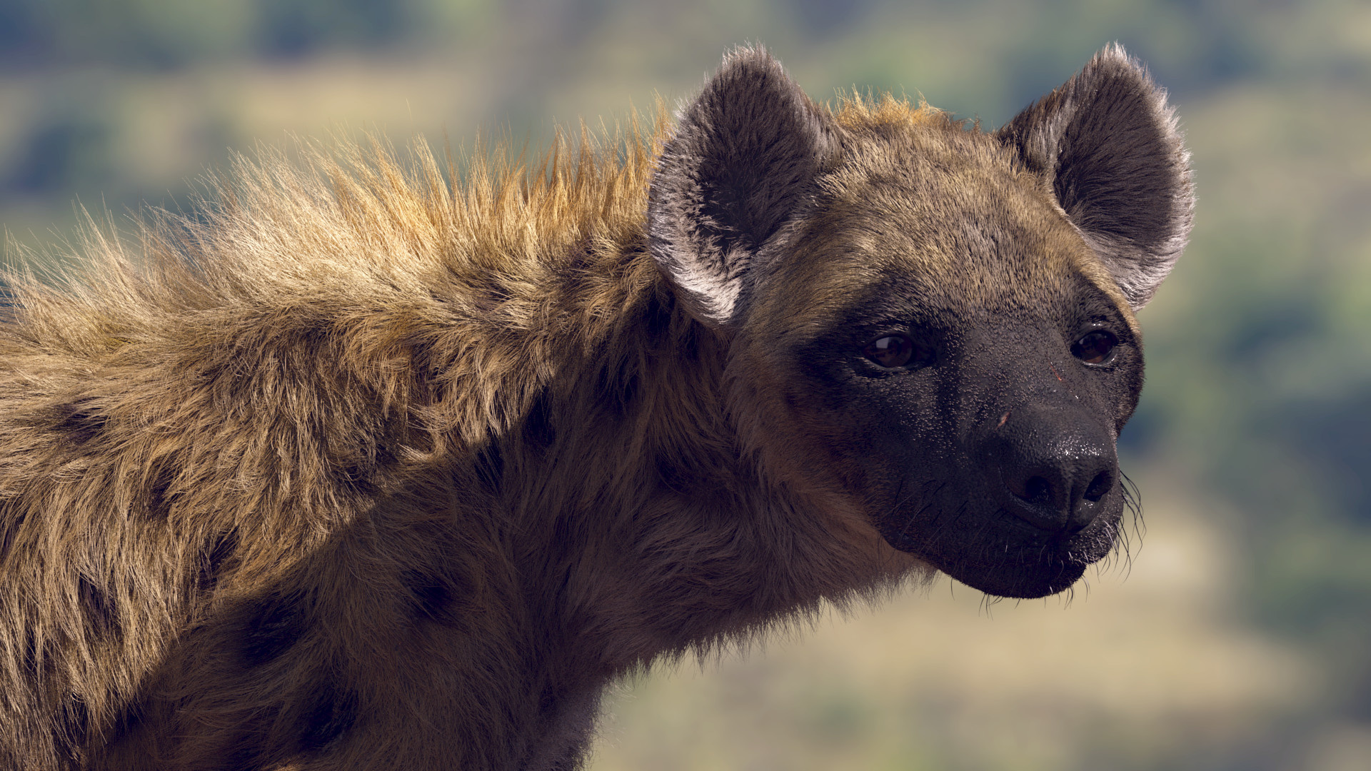 Hyena, Artstation Spotted, 1920x1080 Full HD Desktop