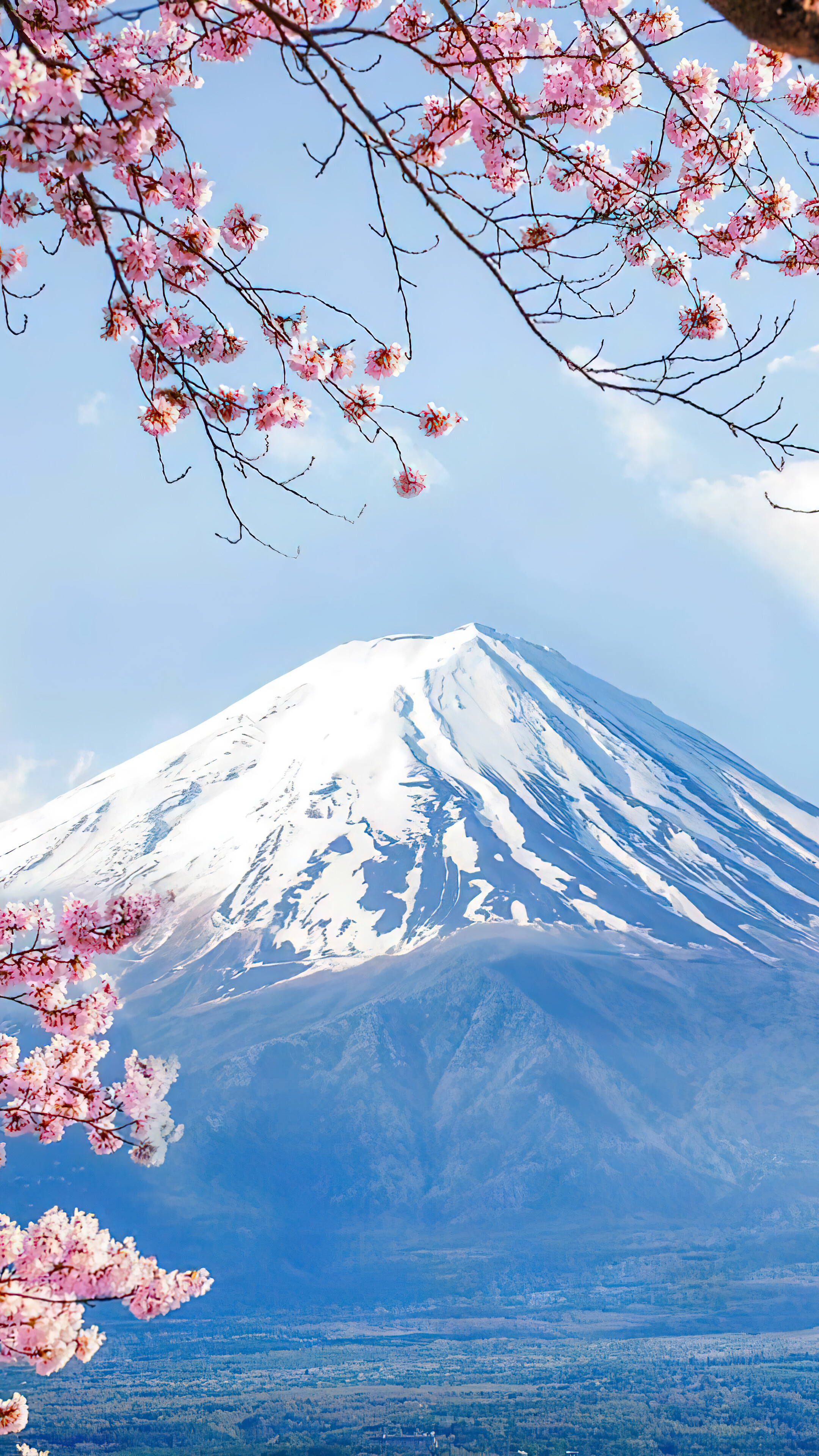 Cherry blossom, Mount Fuji (Japan) Wallpaper, 2160x3840 4K Phone
