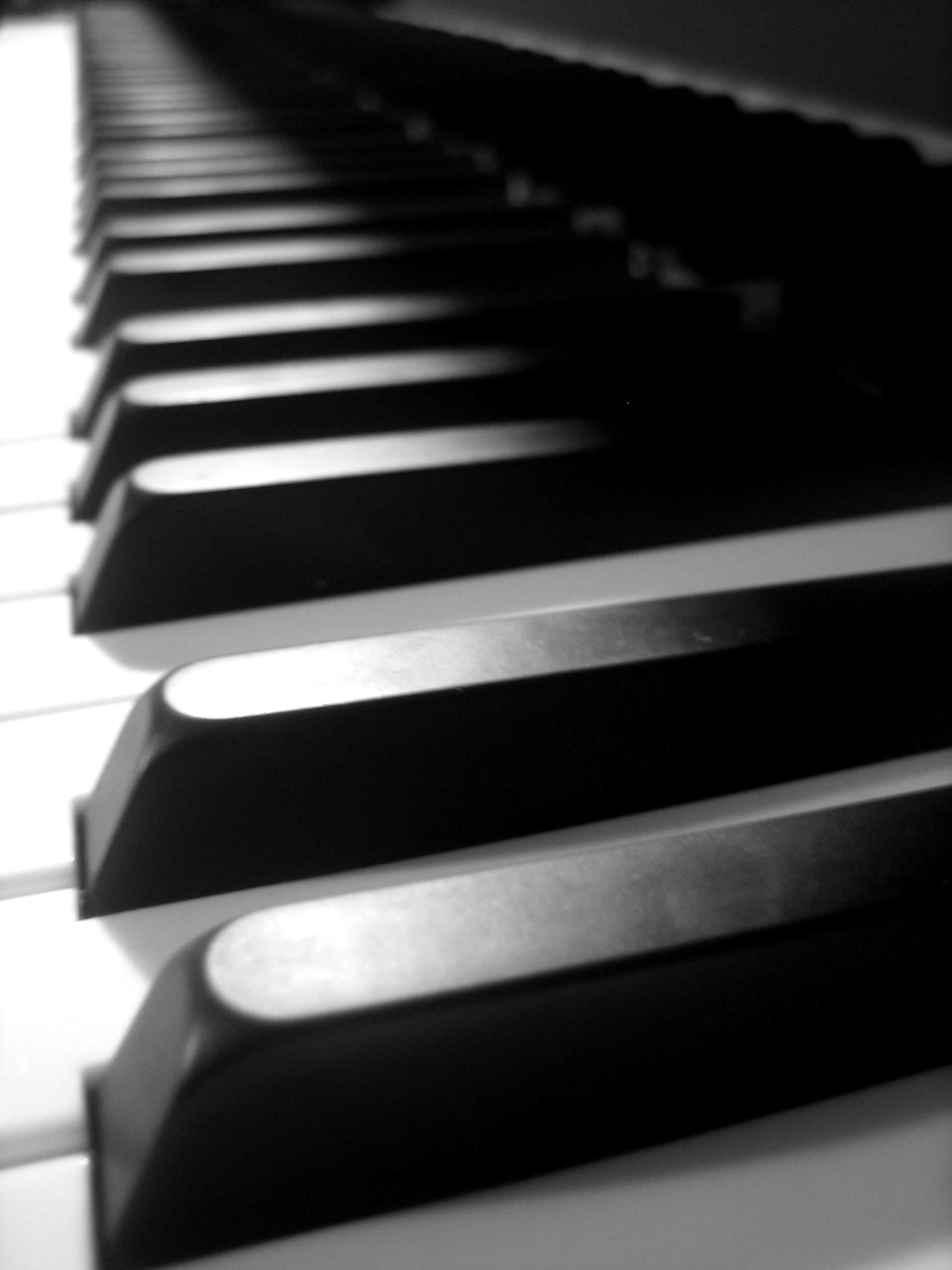 black and white keys, contrasting beauty, monochrome wallpaper, musical harmony, 1950x2600 HD Phone