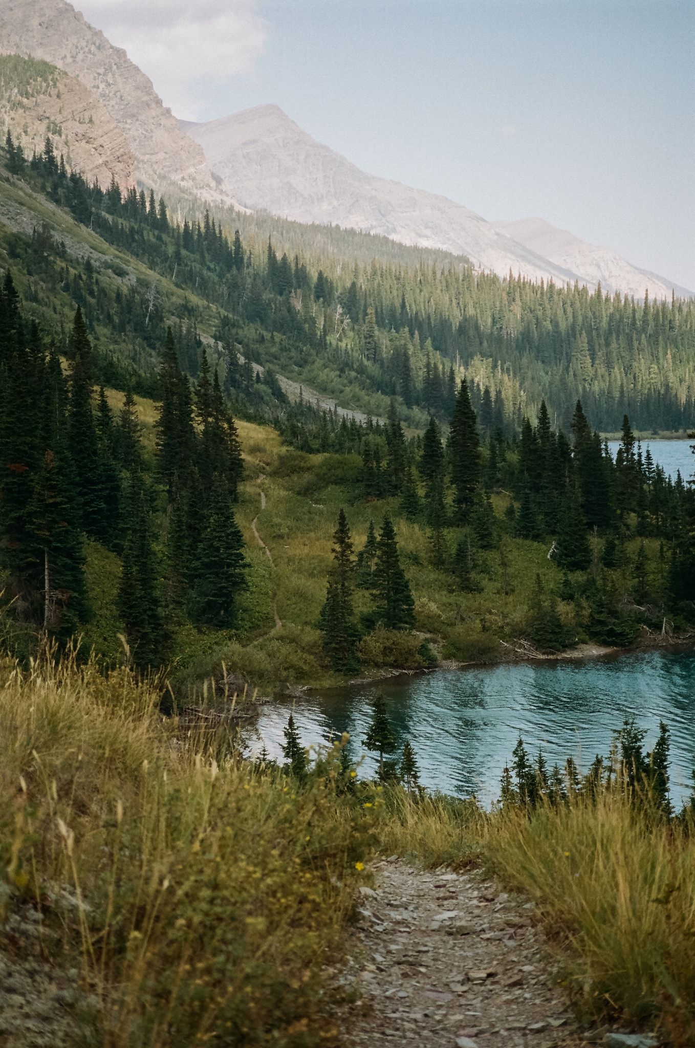 Glacier National Park, Elizabeth Lake, 1360x2050 HD Phone