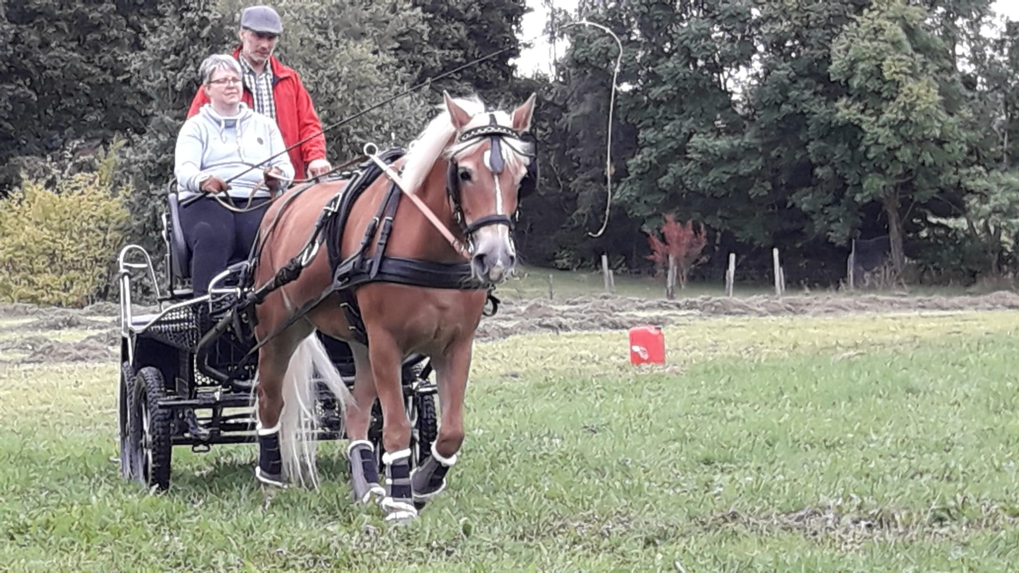 Carriage driving sport, Fahrsportabteilung, Reit und Fahrverein Brilon, Equestrian activities, 2050x1160 HD Desktop