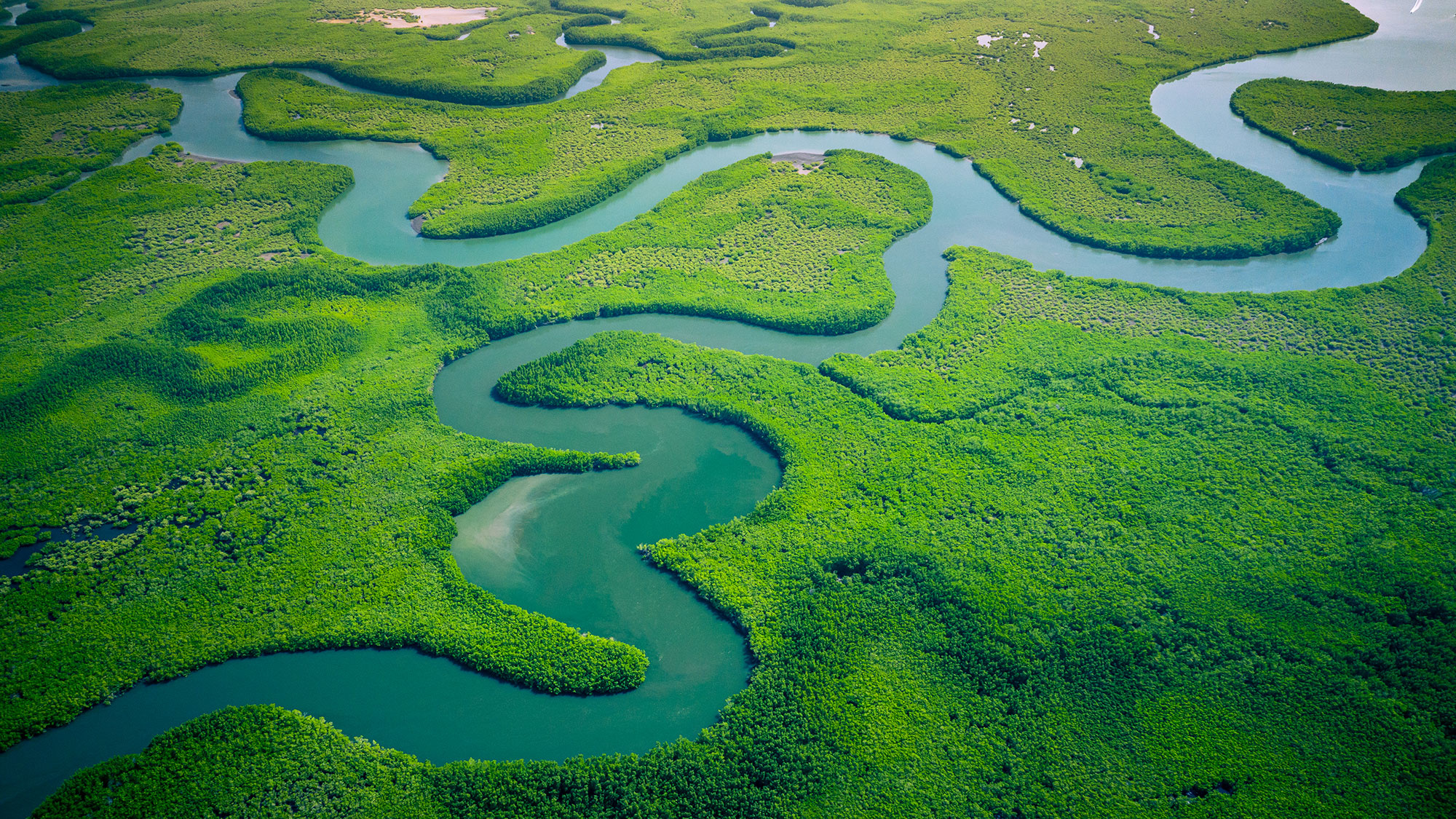 Africa's environmental solutions, Sustainable development, Conservation efforts, Infrastructure improvement, 2000x1130 HD Desktop