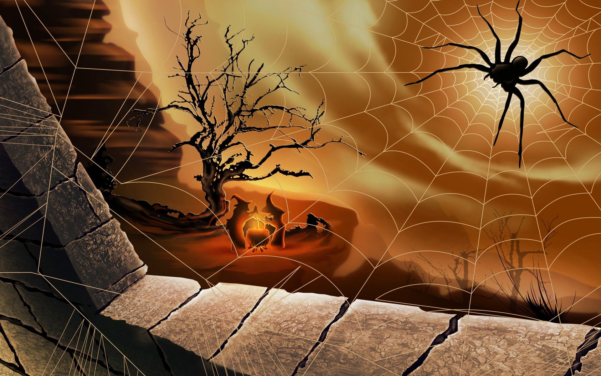 Cute spider wallpapers, Halloween themed photography, Cute arachnids, Wall-worthy, 1920x1200 HD Desktop