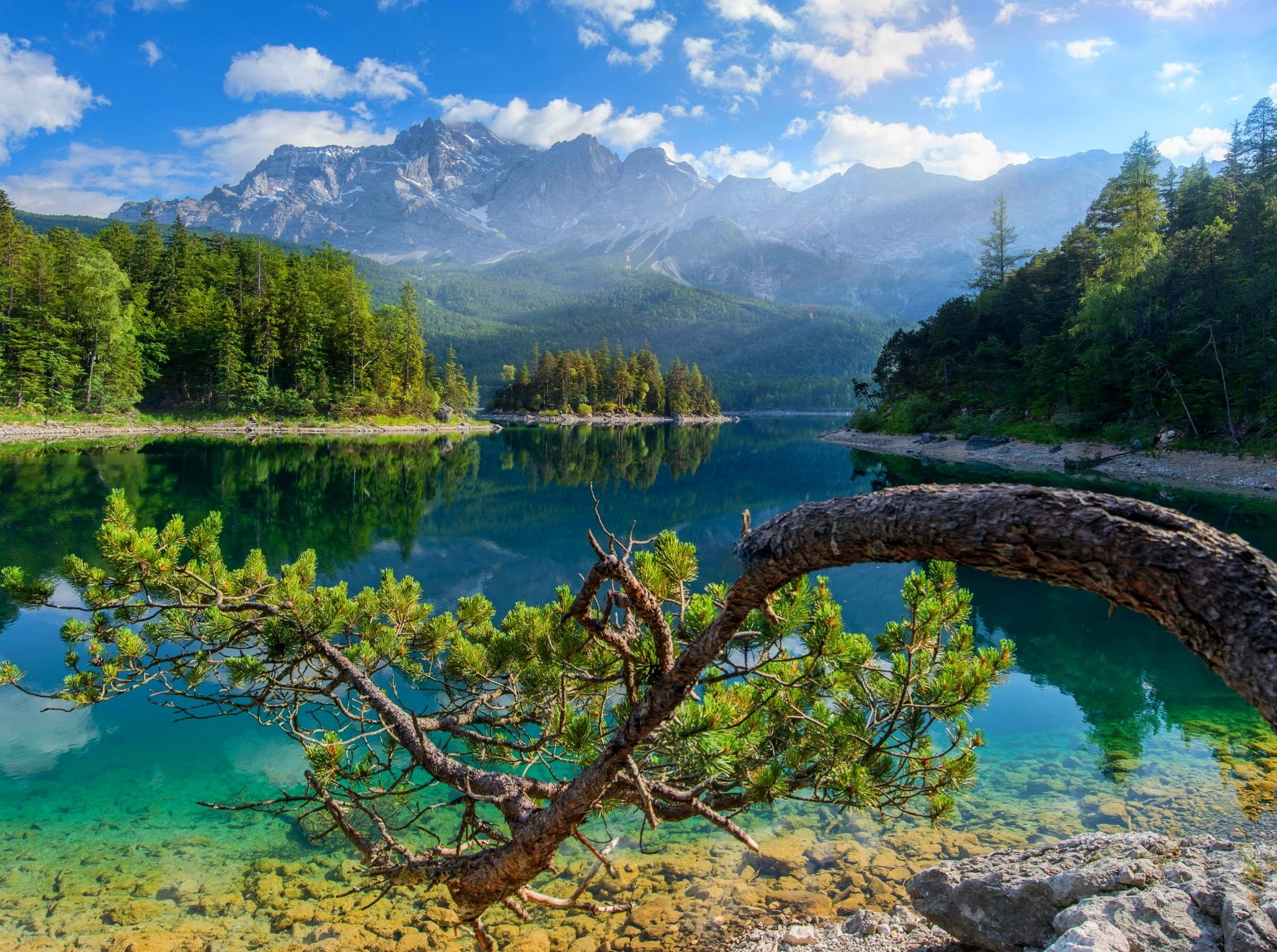 Lake Eibsee, Zugspitze mountain, bent pine branch, HD Desktop wallpaper