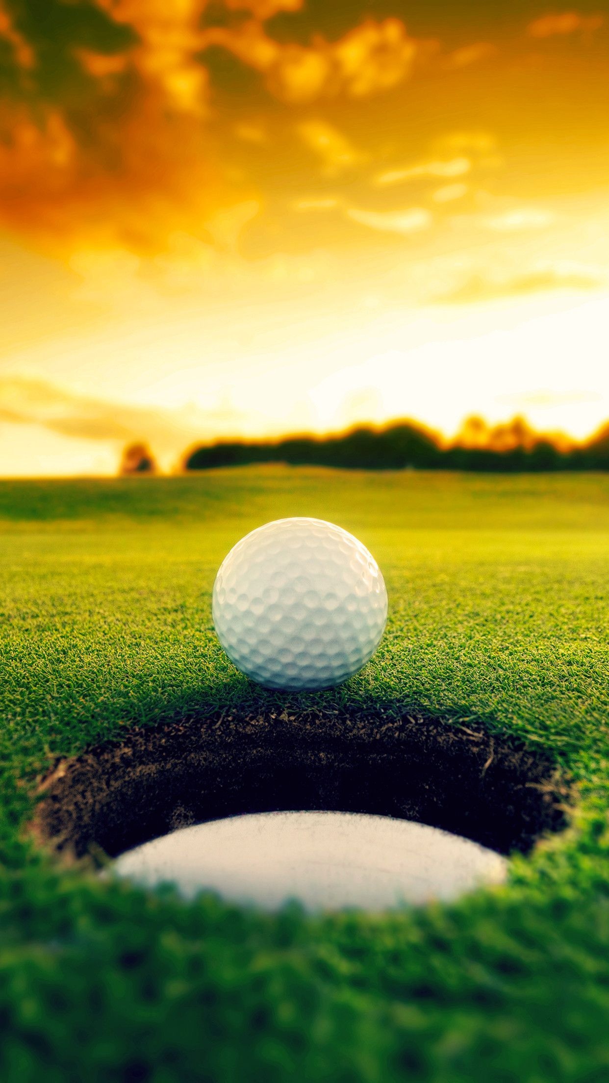 Golf Course, Phone wallpapers, Mobile customization, On-the-go style, 1250x2210 HD Phone