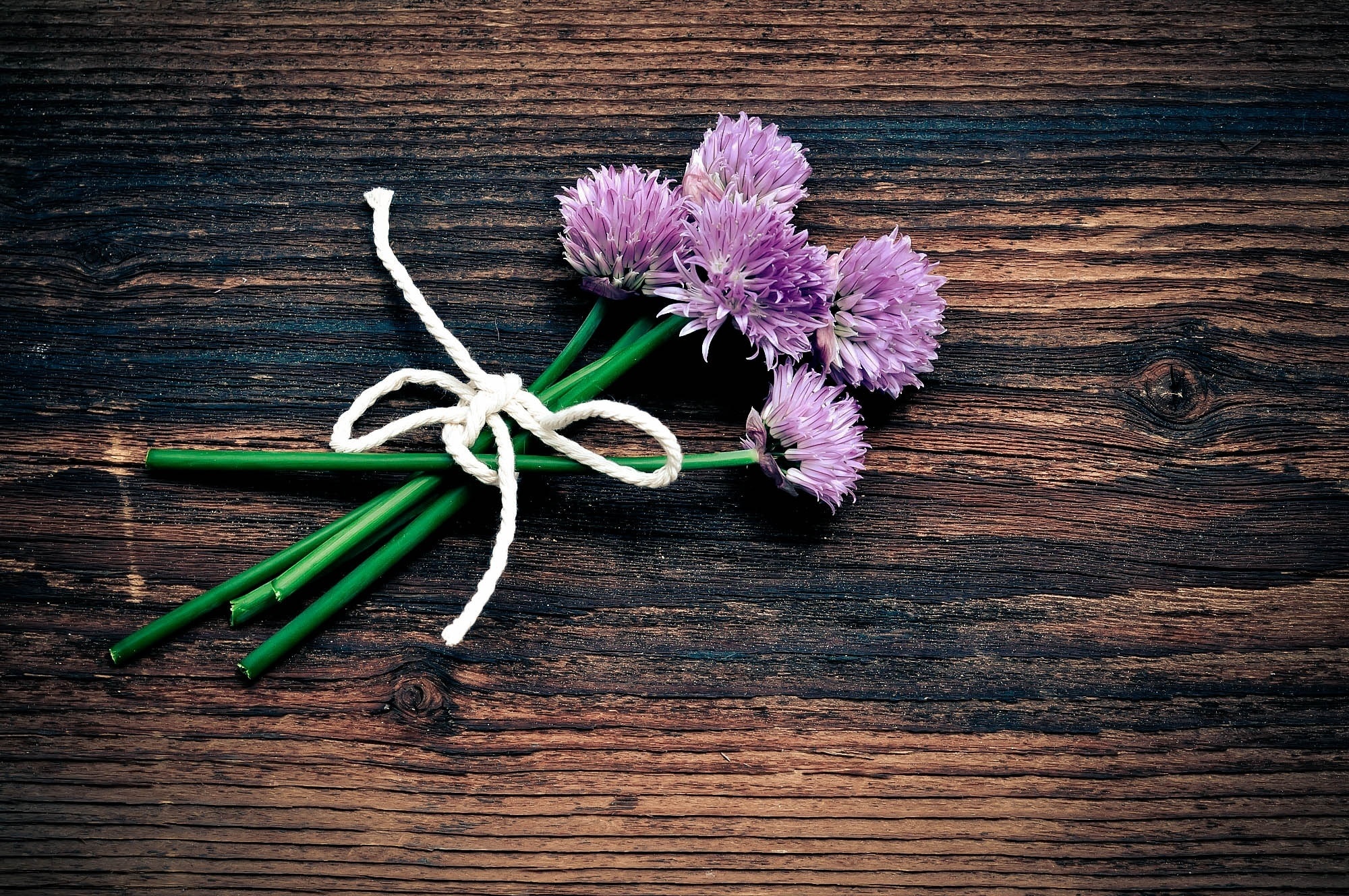 Purple chives flower, Free image, Peakpx, Allium schoenoprasum, 2000x1330 HD Desktop