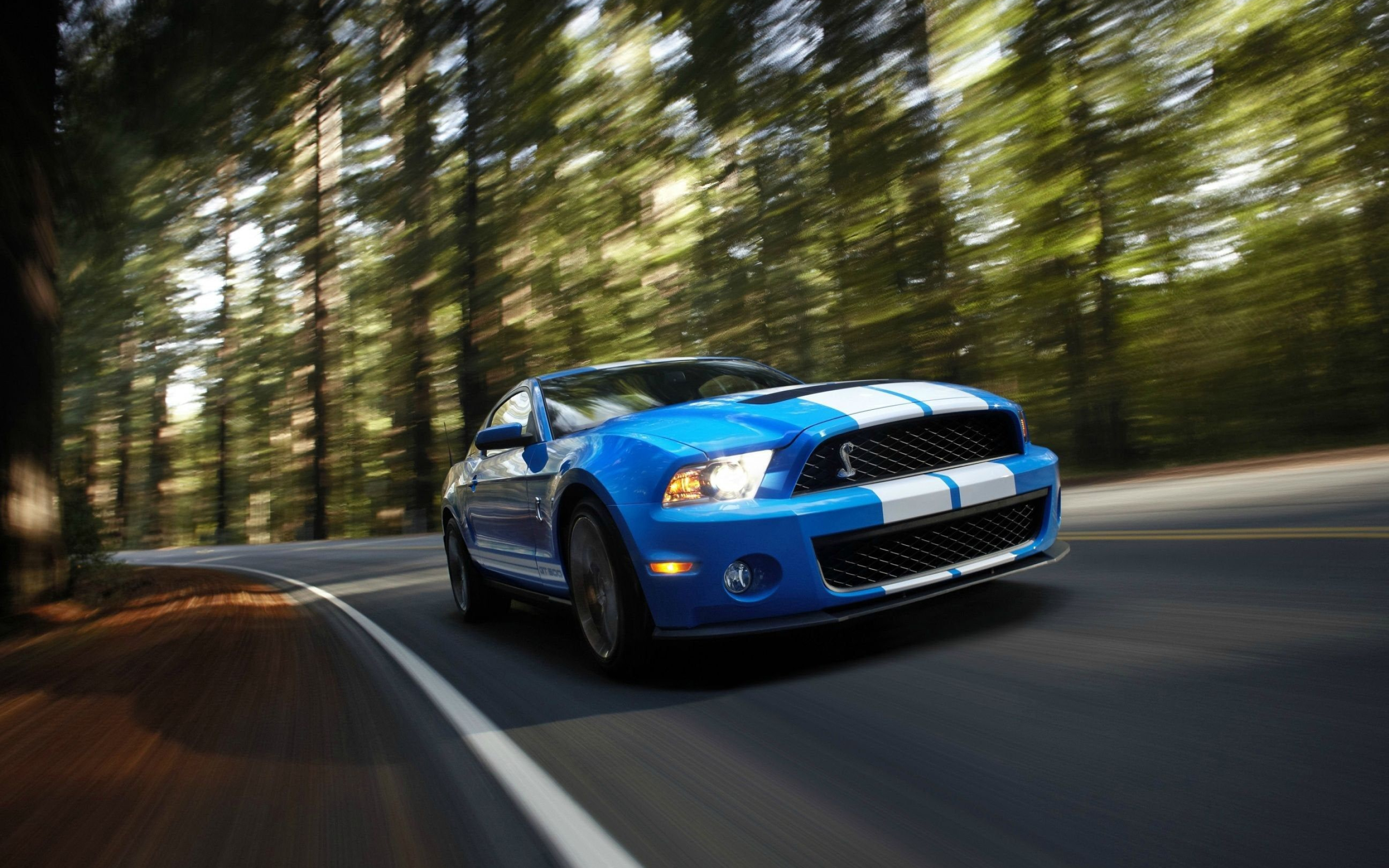 Ford Mustang Shelby GT500, winding forest road, white racing stripes, HD Desktop wallpaper