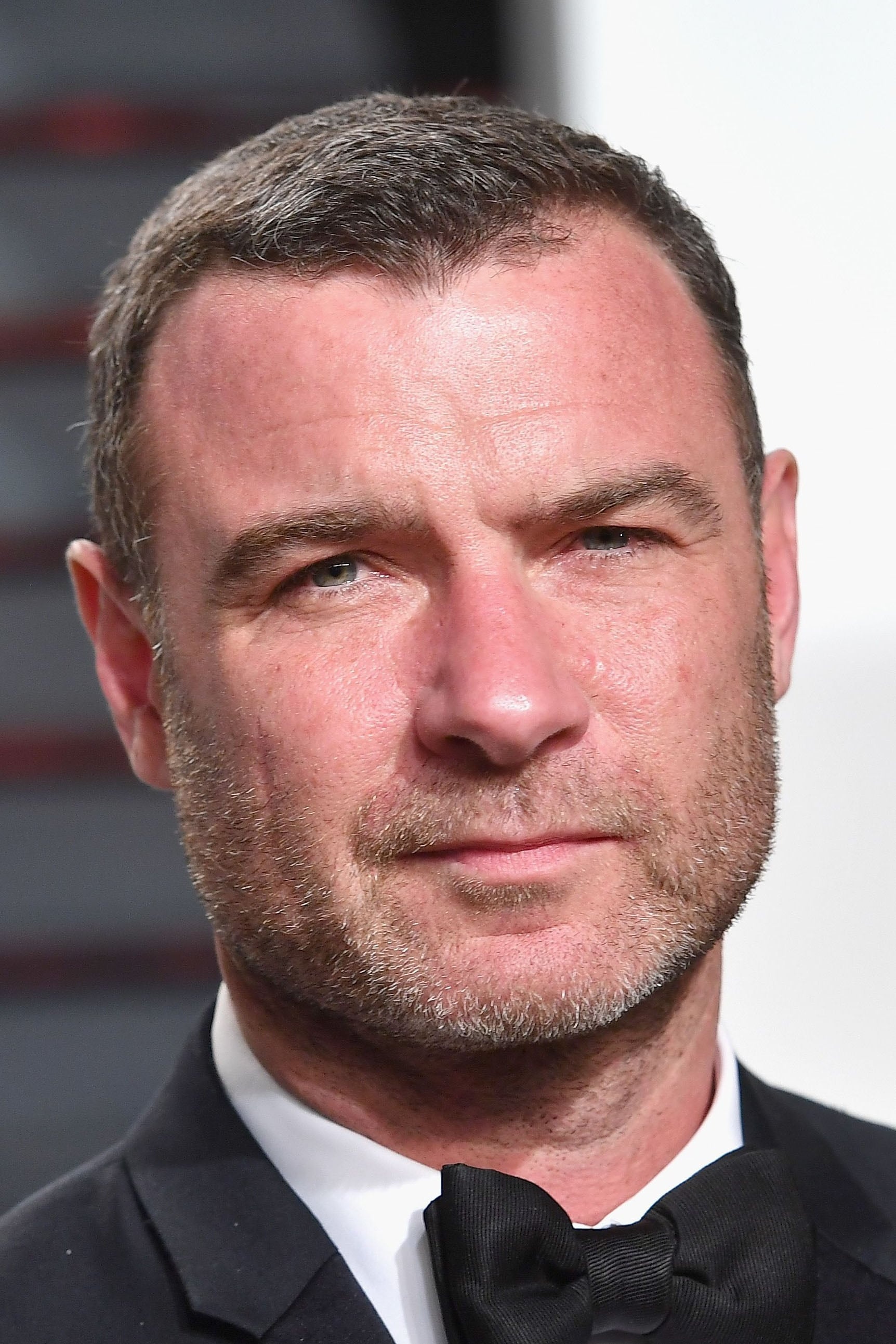 Liev Schreiber profile, Movie Database, Famous actors, Filmography, 1730x2590 HD Phone