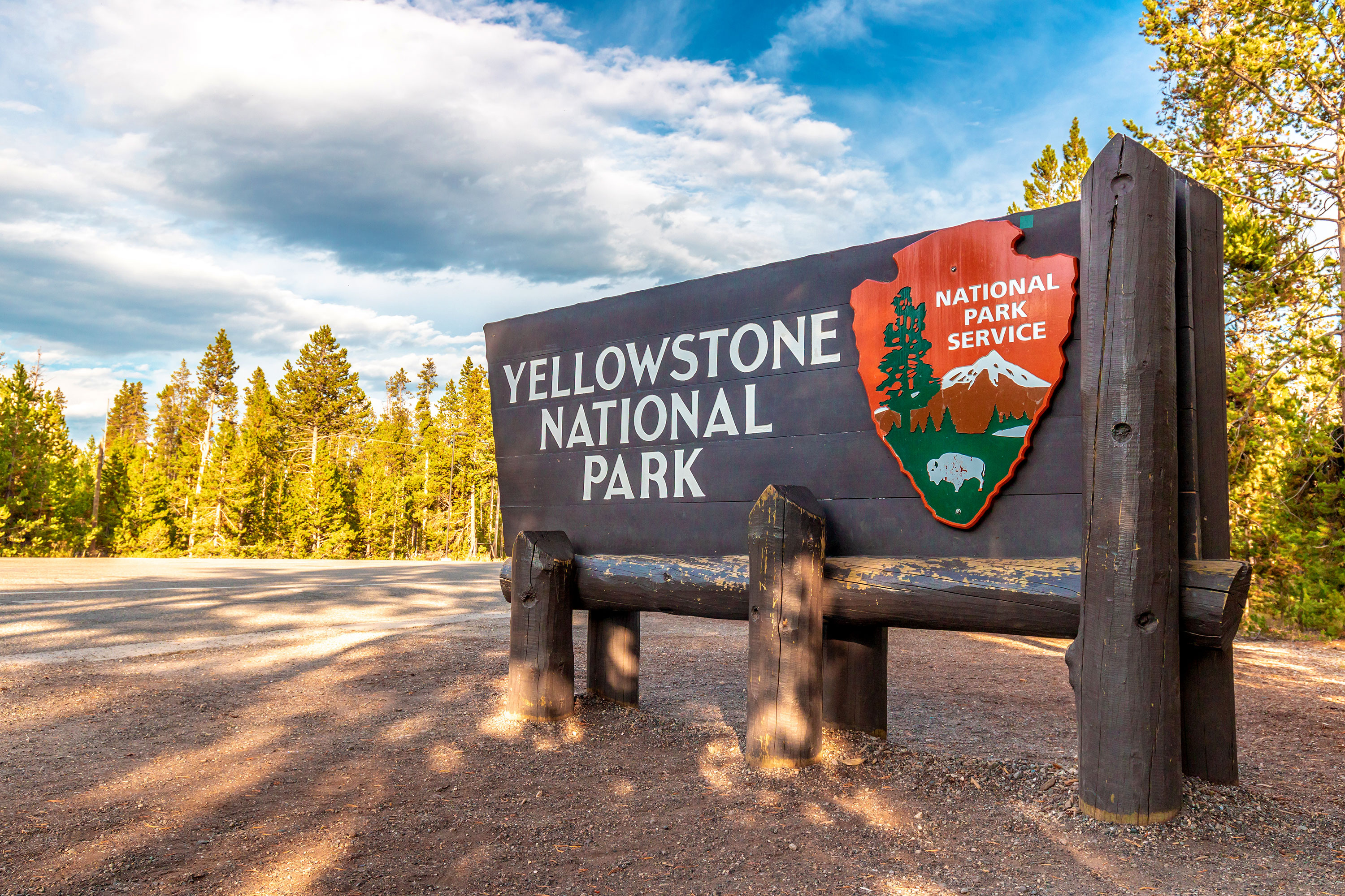 Yellowstone bison attack, CNN travel news, 3000x2000 HD Desktop