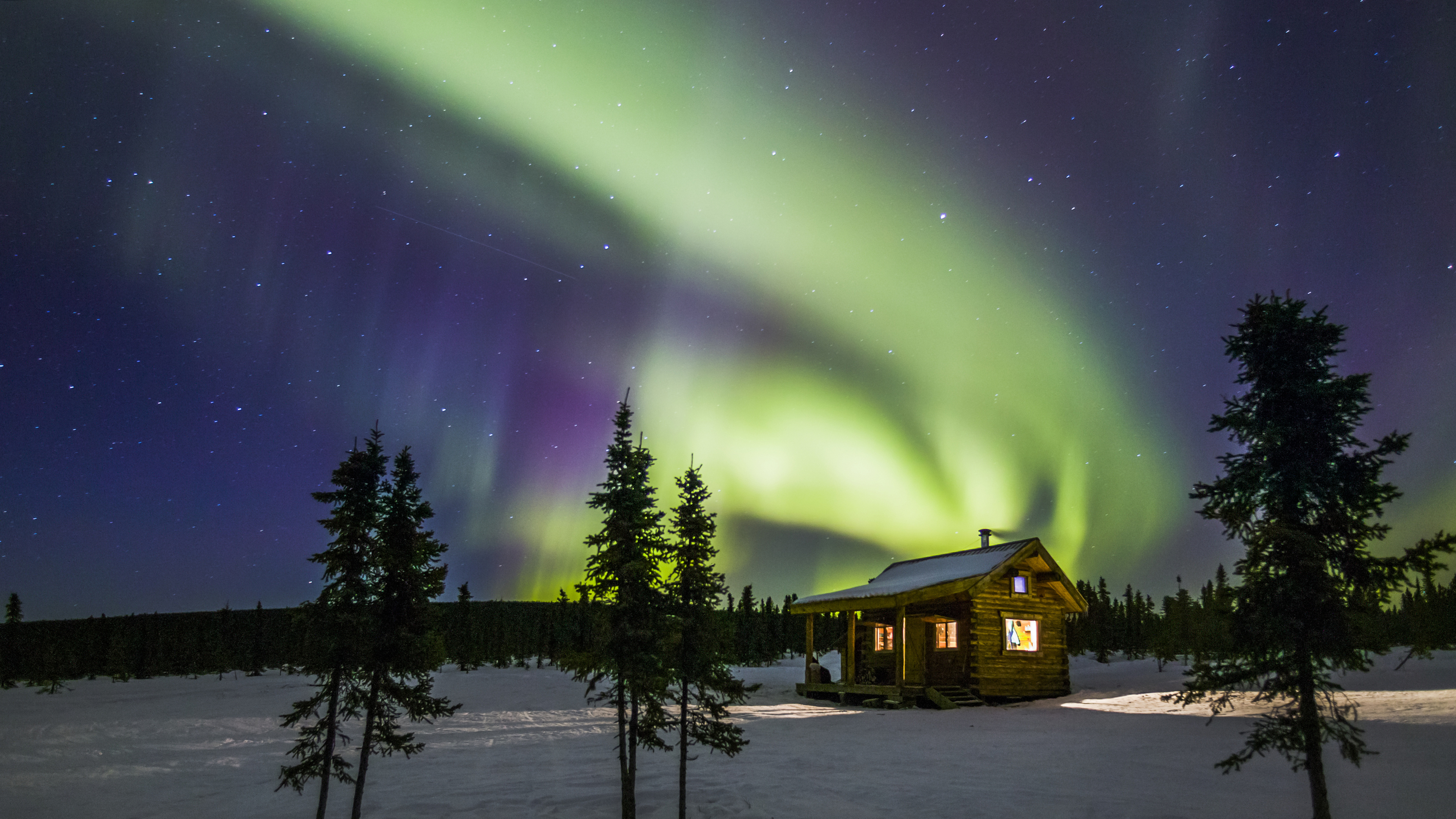 Green aurora borealis, Illuminated log cabin, Snow-covered spruce trees, HD Desktop wallpaper