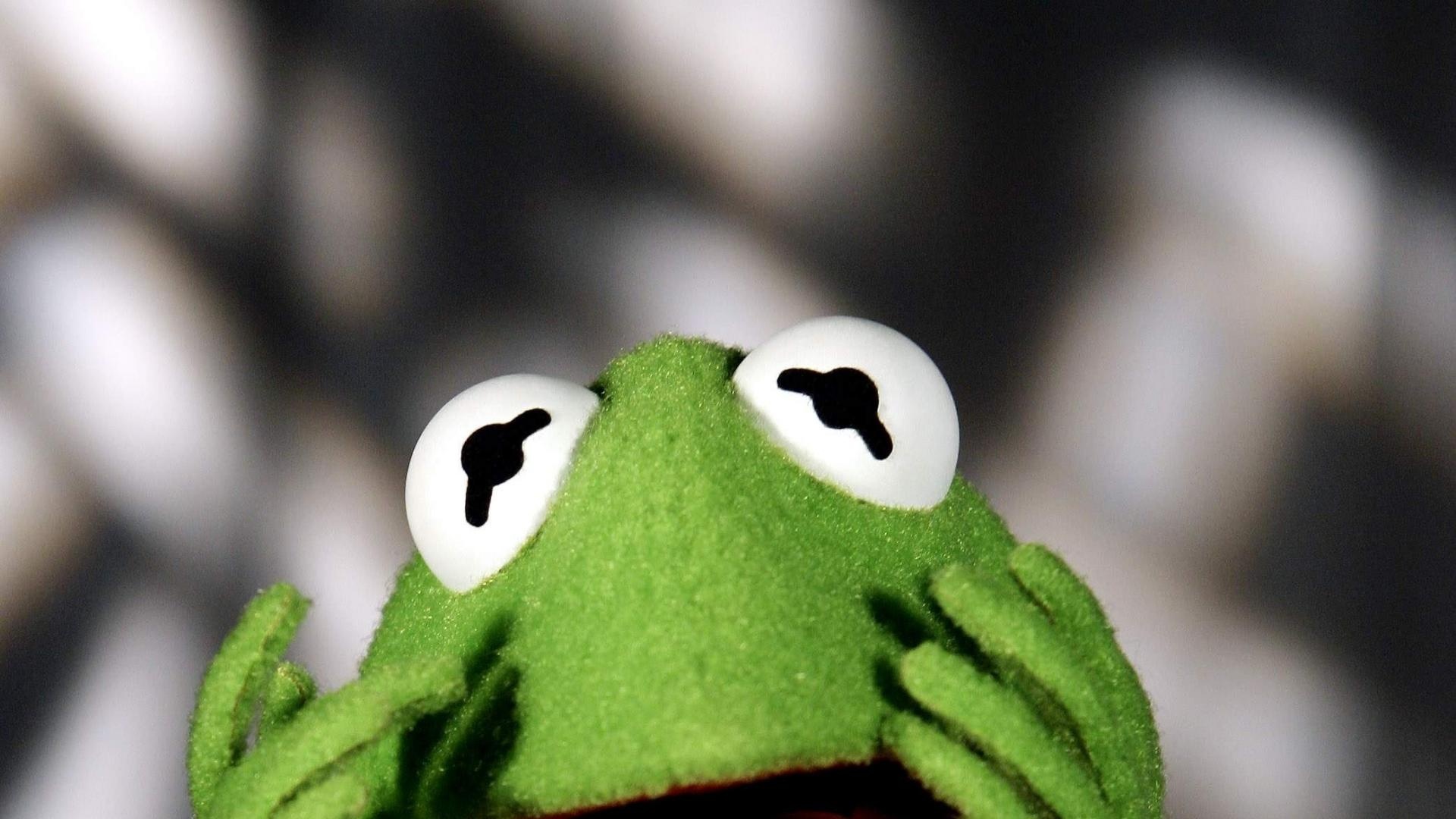 Kermit the Frog wallpaper, Muppet Show nostalgia, Desktop delight, Loveable character, 1920x1080 Full HD Desktop