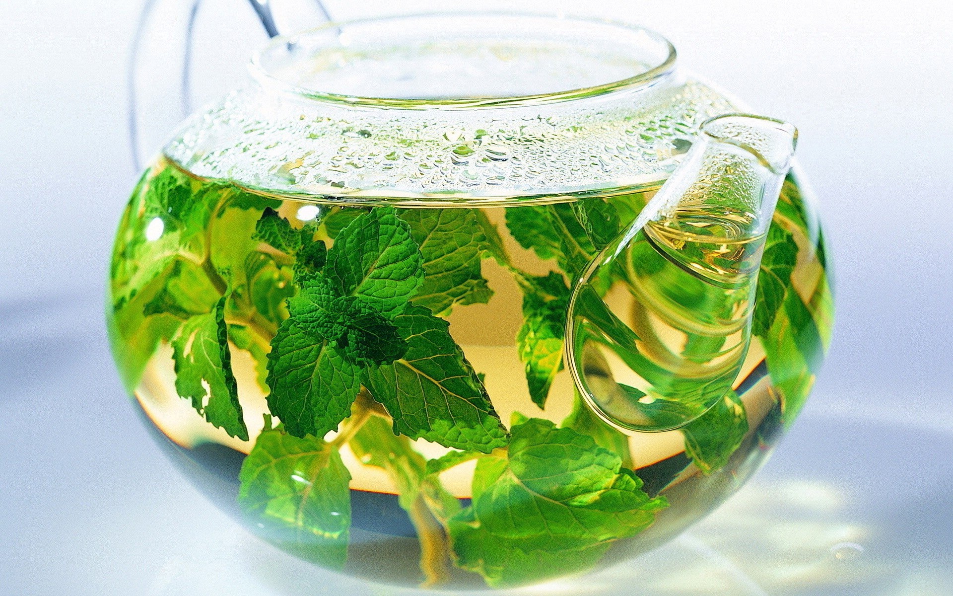 Tea wallpaper background, Lemon Balm leaves, HD image, Refreshing beverage, 1920x1200 HD Desktop
