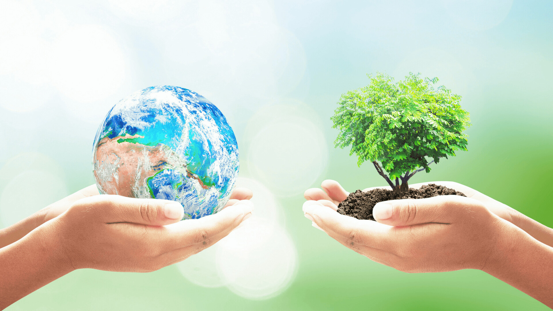 Go Green wallpaper, Environmental message, Nature's call, Earth's guardianship, 1920x1080 Full HD Desktop