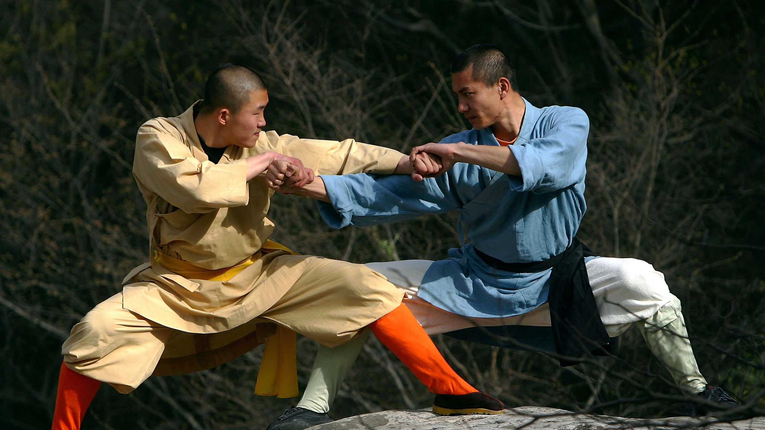 Kung Fu desktop wallpaper, Martial arts inspiration, Balanced energy, Wisdom of ancient masters, 2560x1440 HD Desktop