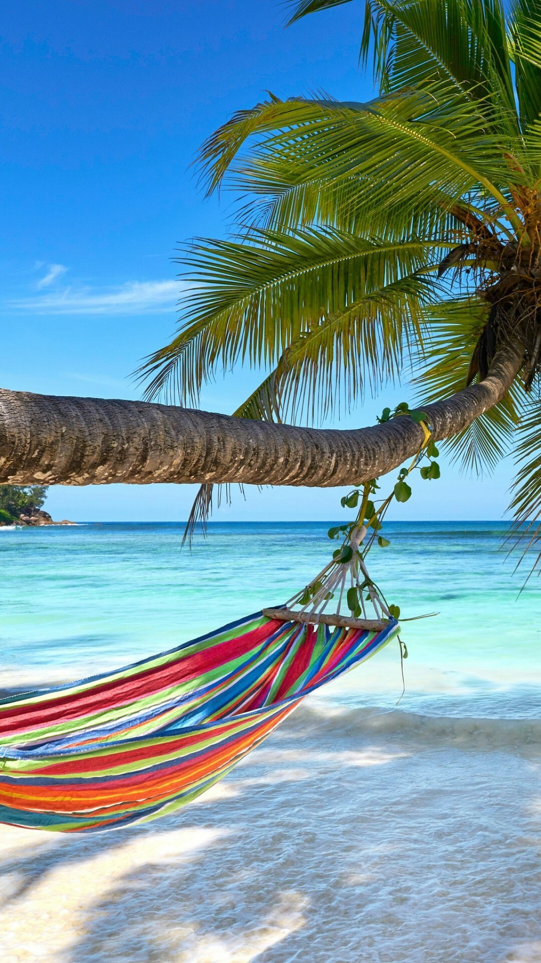 Turquoise beach, Palm trees, Travel inspiration, Exotic destination, 1080x1920 Full HD Phone