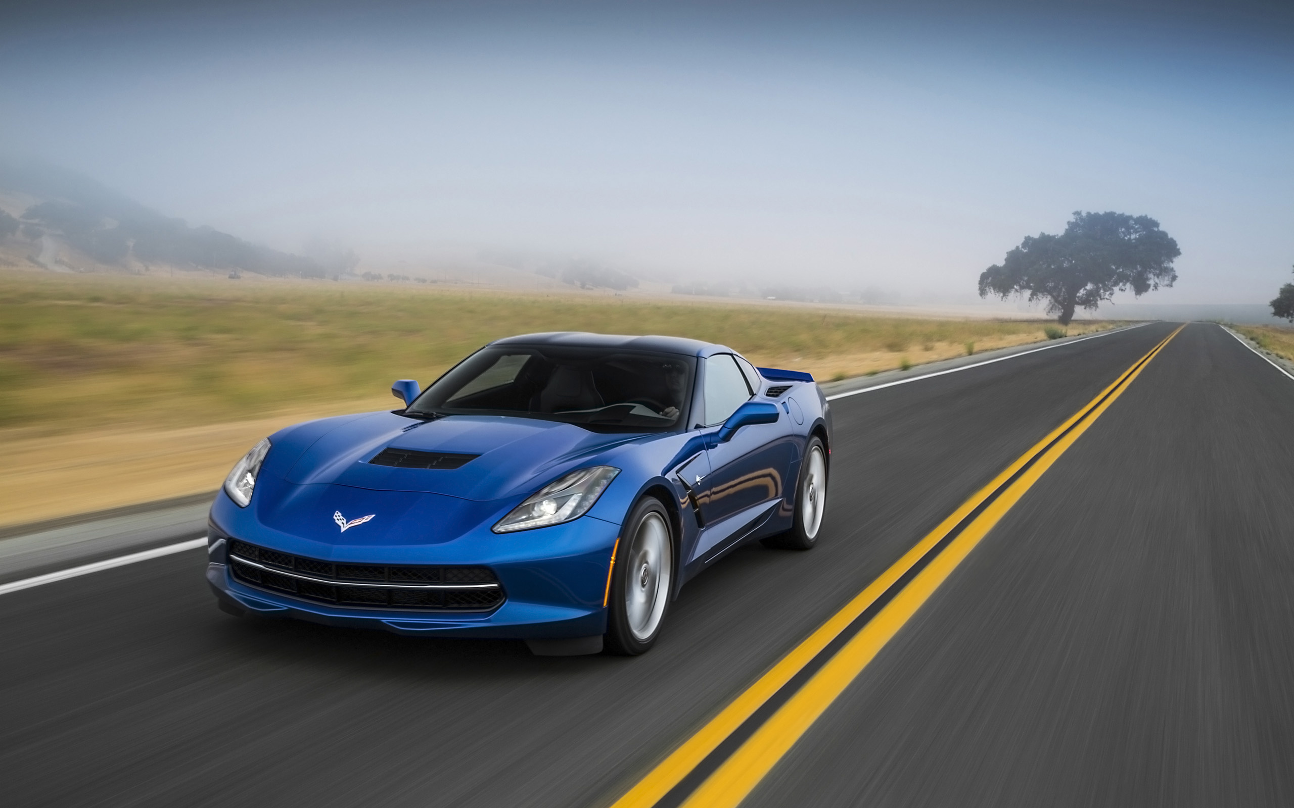 Chevrolet Corvette, Auto power, Stingray edition, Muscle energy, 2560x1600 HD Desktop