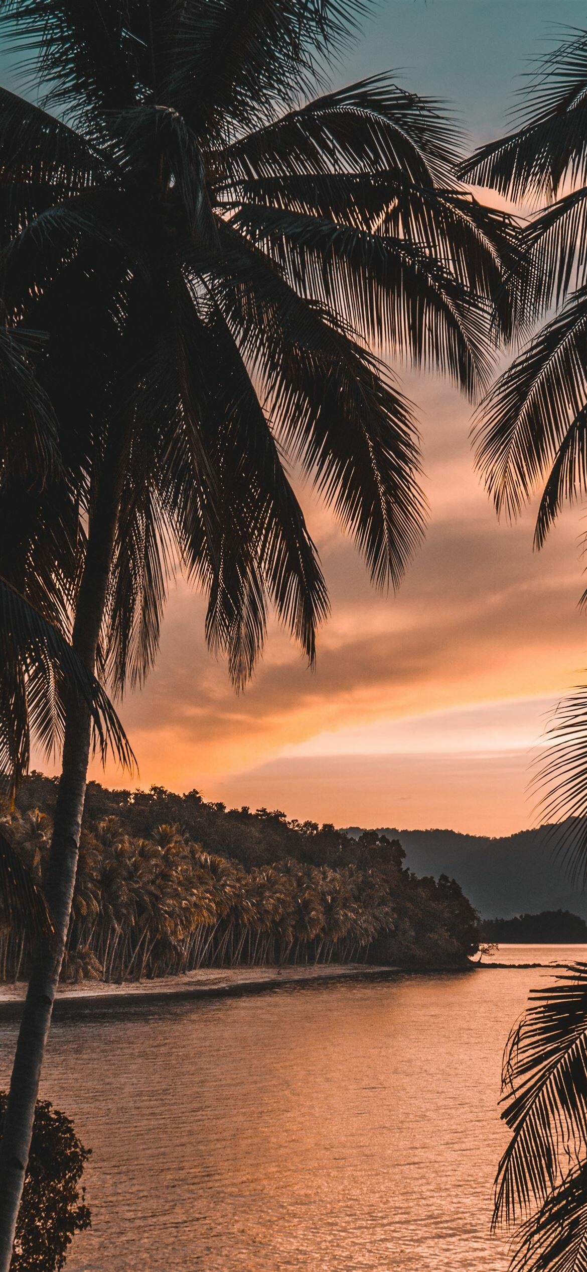 Best tree iPhone wallpapers, Nature's wonders, Majestic trees, Breathtaking views, 1170x2540 HD Phone