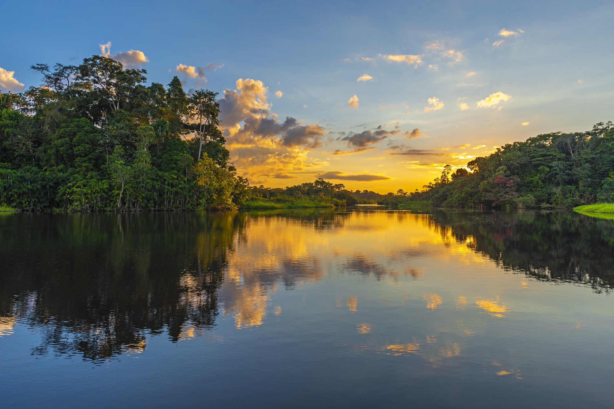 The Amazon River Wallpapers 27 Images WallpaperCat The Amazon River Wallpapers 27 Images WallpaperCat