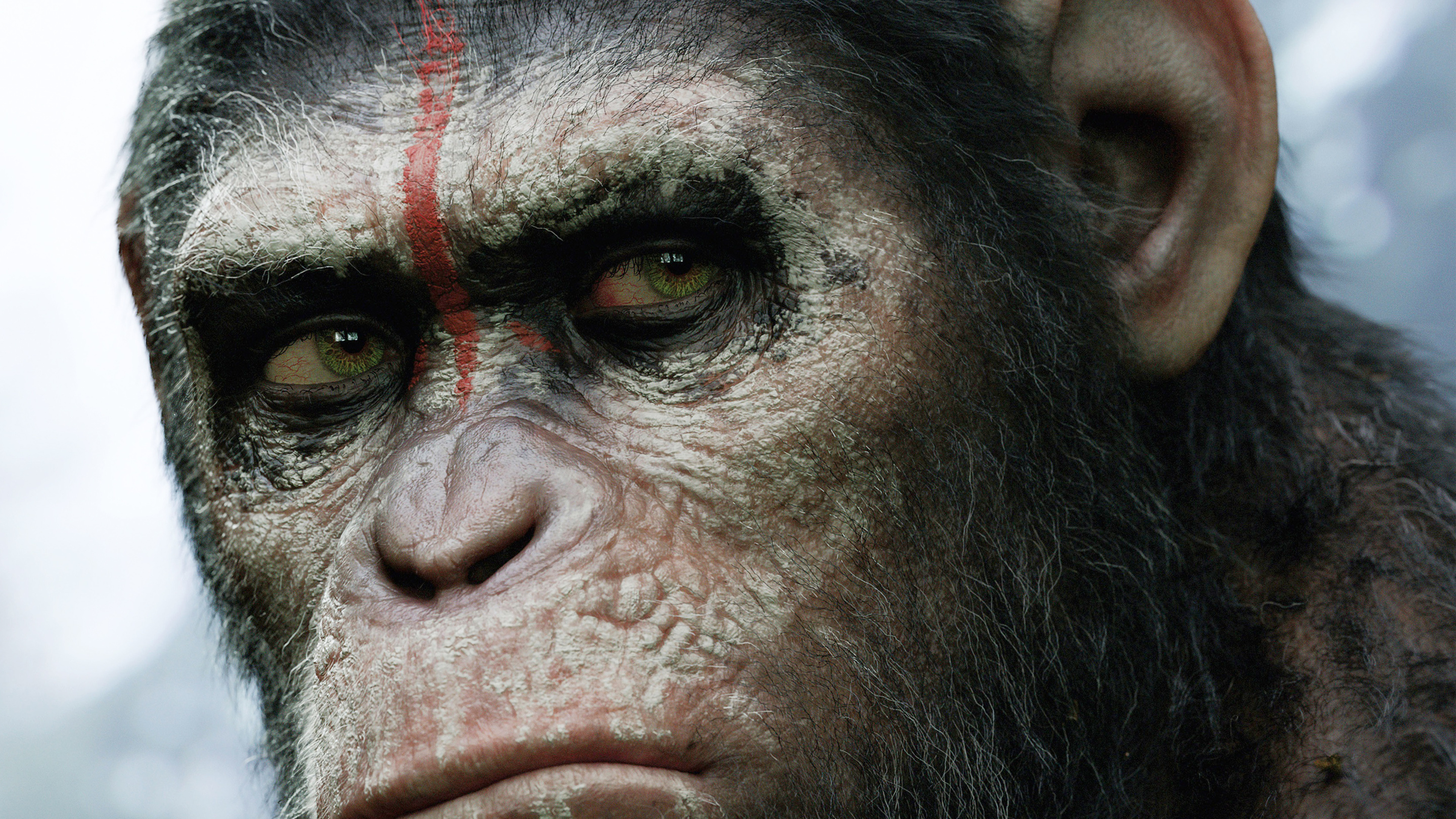 Planet of the Apes, HD wallpapers, iPhone XS, 4K photos, 3840x2160 4K Desktop