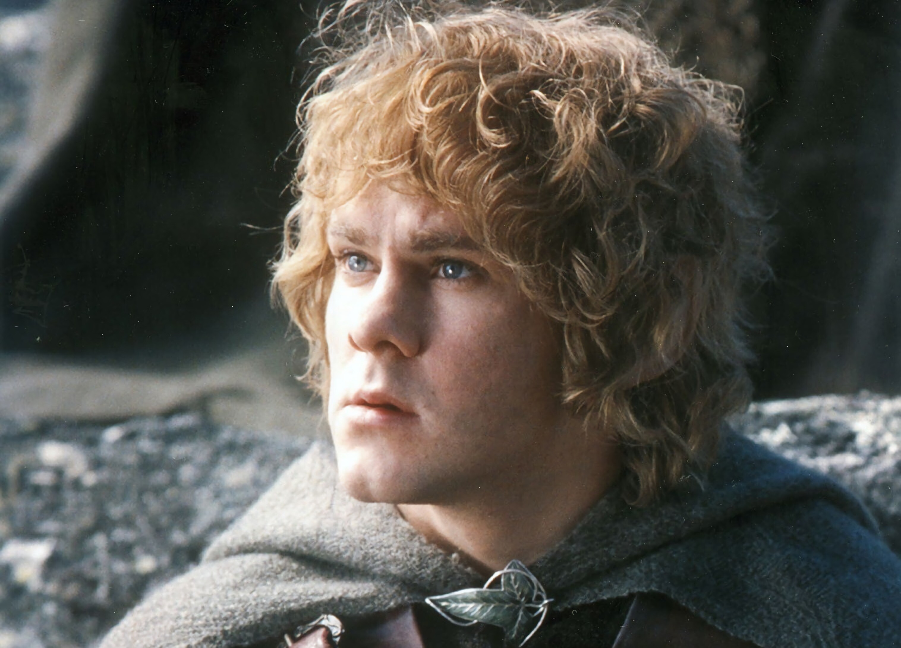 Merry, The Lord of the Rings, Movies, Hobbit Companion, 3040x2190 HD Desktop