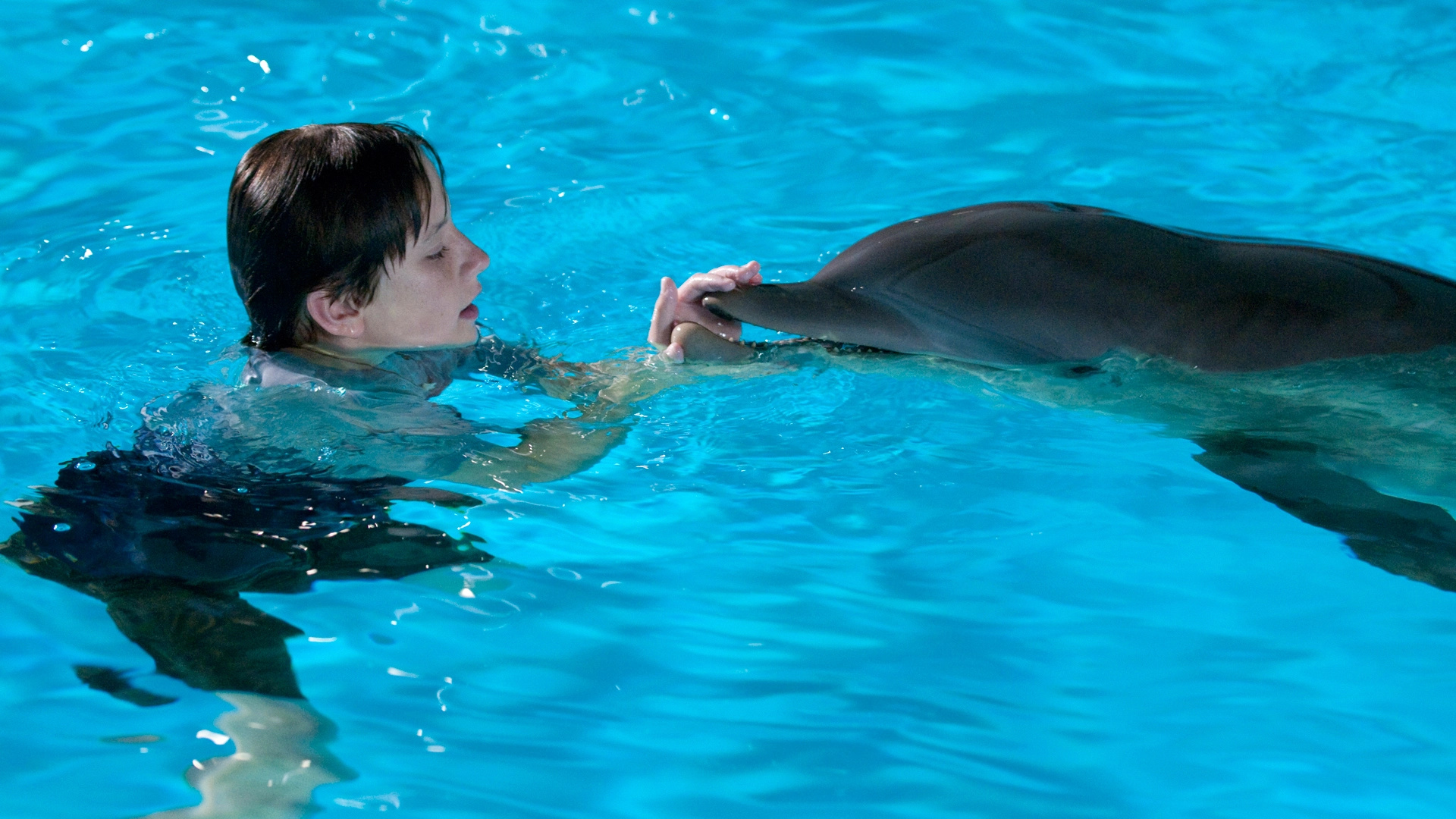 Social media buzz, Dolphin Tale 2 movie review, Movie industry news, Dolphin tale sequel, 1920x1080 Full HD Desktop