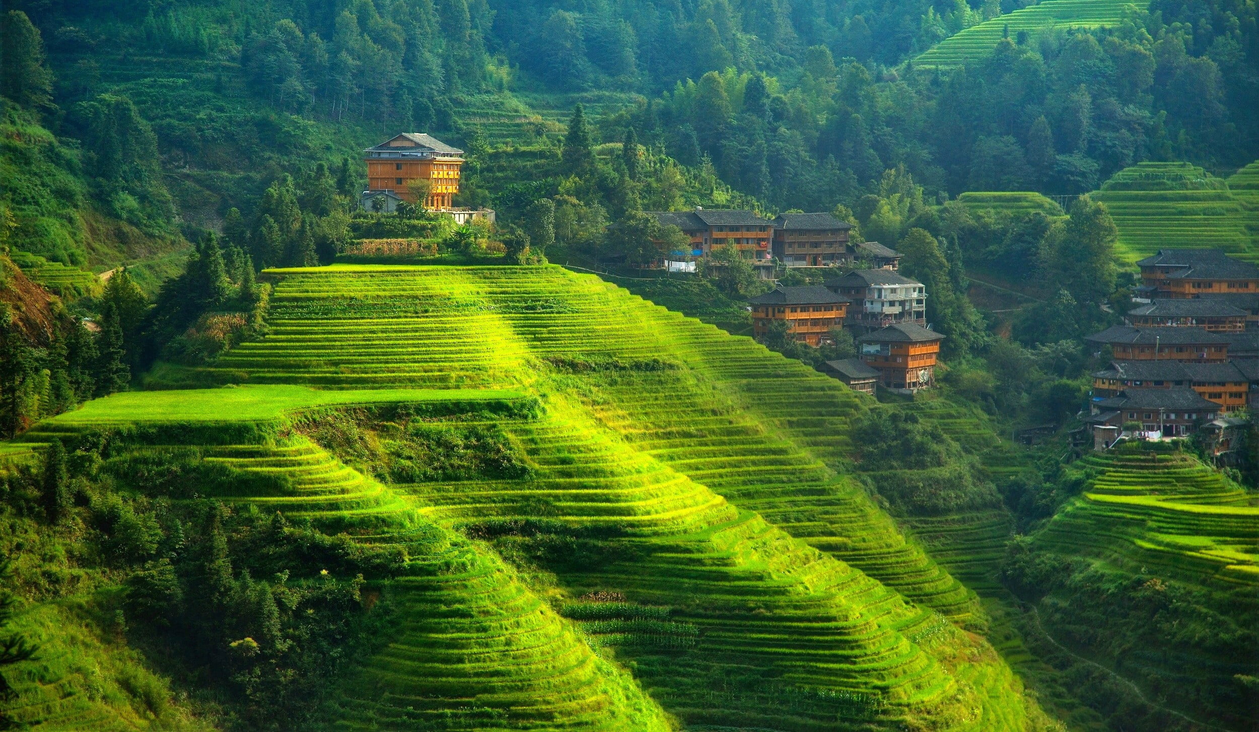 Banaue Rice Terraces, Vibrant wallpapers, Sarah Tremblay's post, 2500x1460 HD Desktop