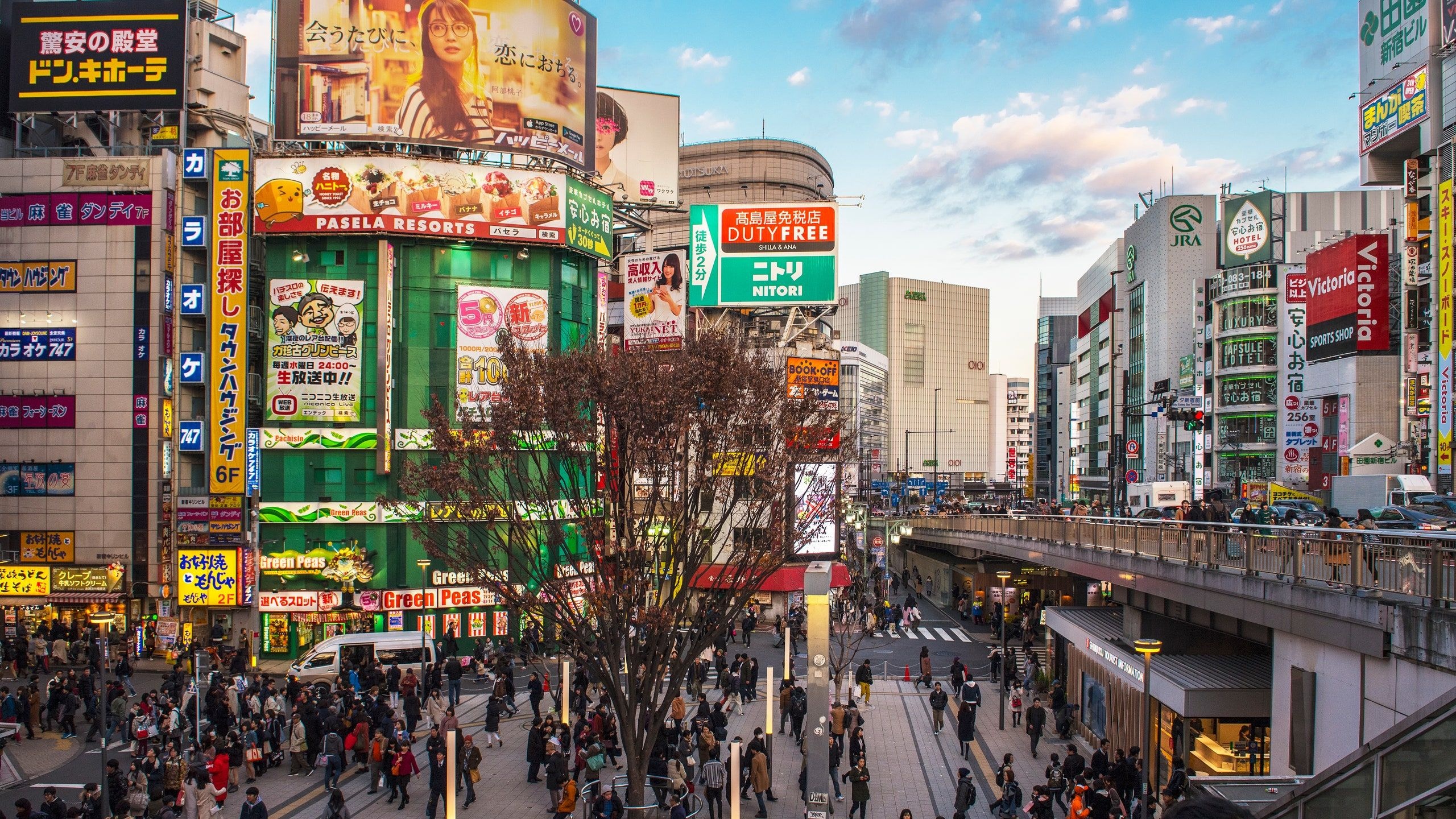 Shinjuku Tokyo, Urban district, Bustling nightlife, Bright city lights, 2560x1440 HD Desktop