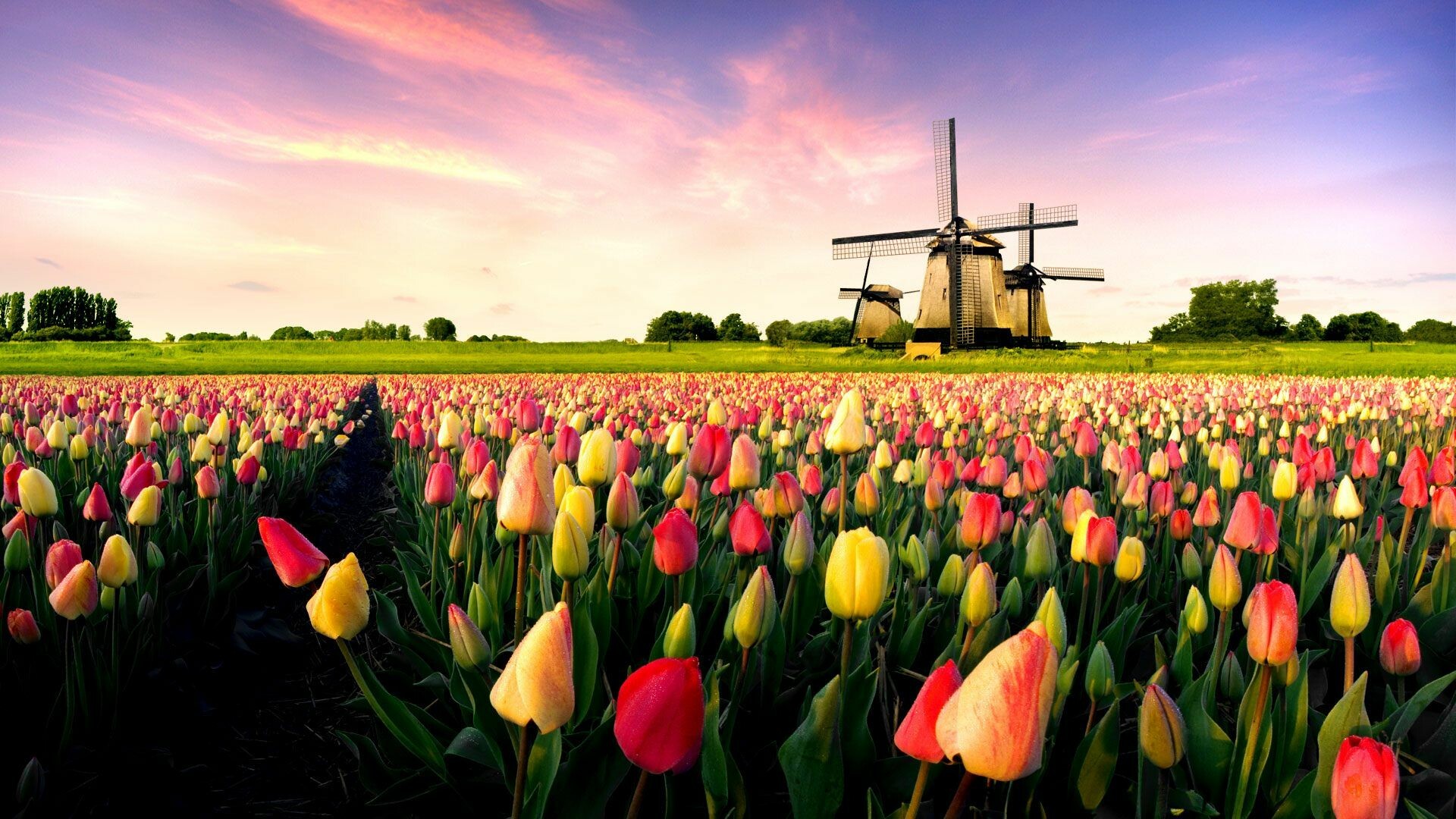 Dutch wallpapers, Dutch culture, Traditional vibes, Beautiful backgrounds, 1920x1080 Full HD Desktop