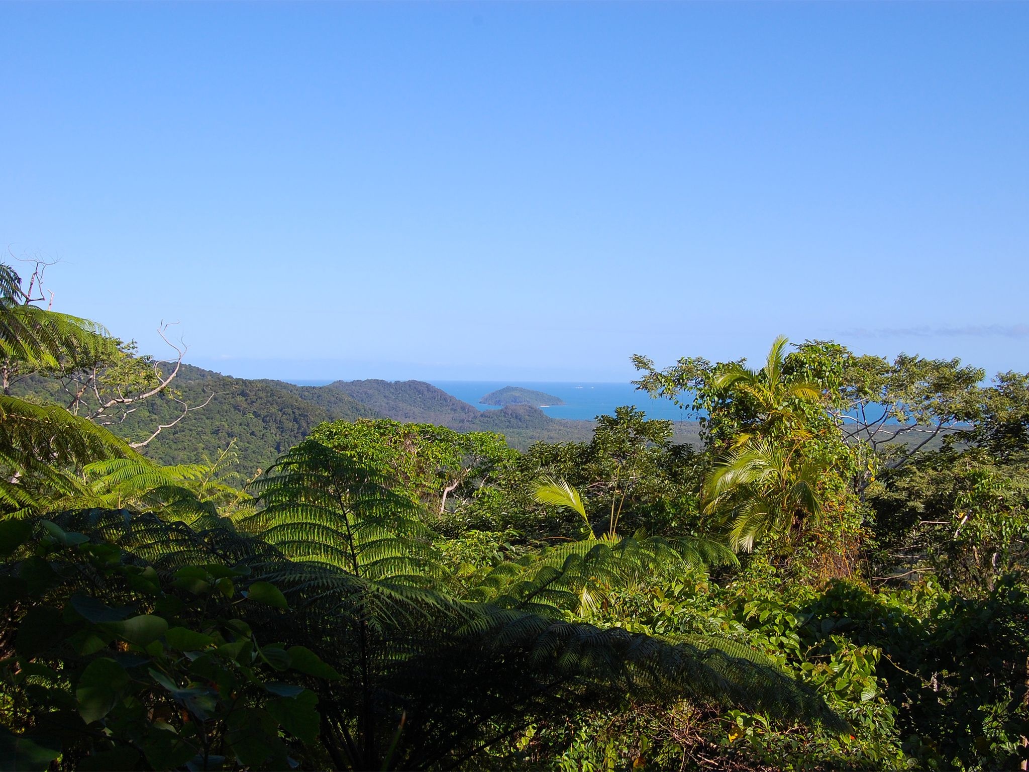 Daintree National Park, Nature play, Queensland adventures, Ecological marvels, 2050x1540 HD Desktop