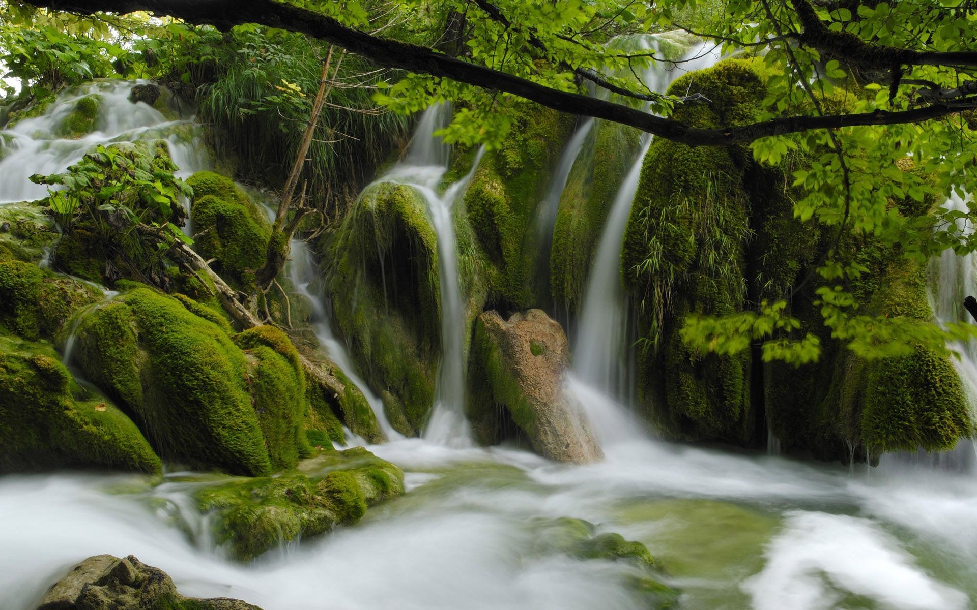 National Park Plitvice, Scenery Wallpaper, 1920x1200 HD Desktop