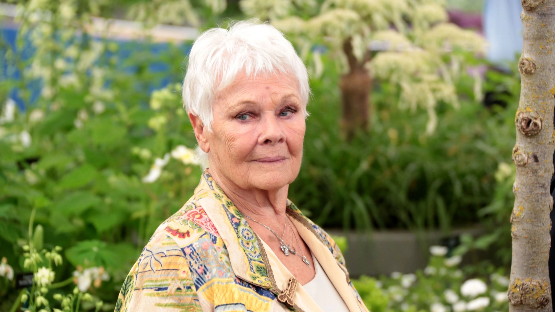 Judi Dench, Movies, TikTok dance challenge, SheKnows, 1920x1080 Full HD Desktop