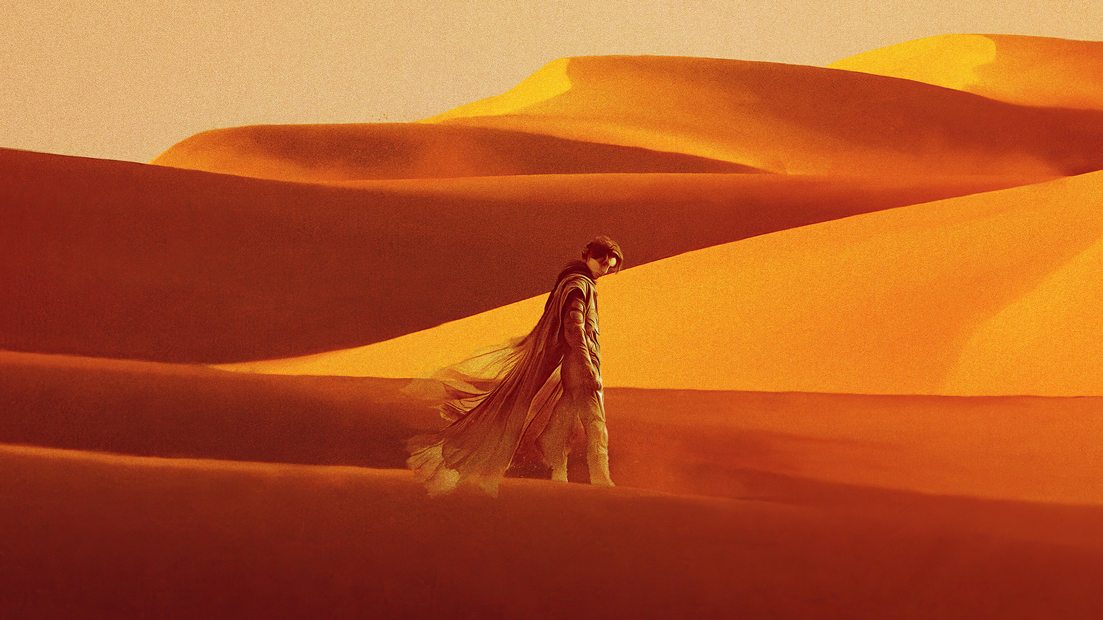 Paul Atreides, Dune, 2560x1600 resolution, HD, 3840x2160 4K Desktop