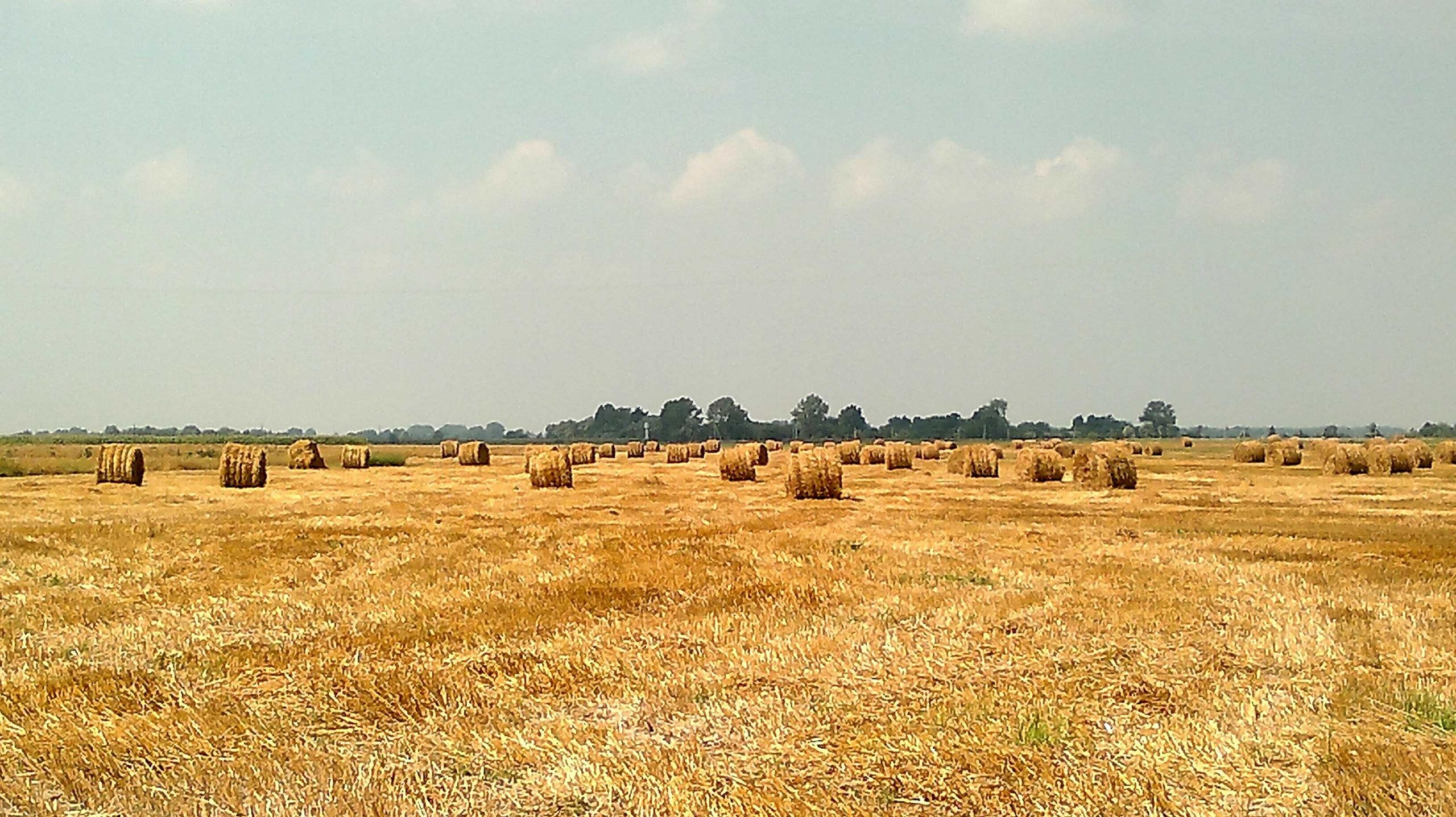 Landscape, Kobrin, Brest Province, Belarus, 2560x1440 HD Desktop