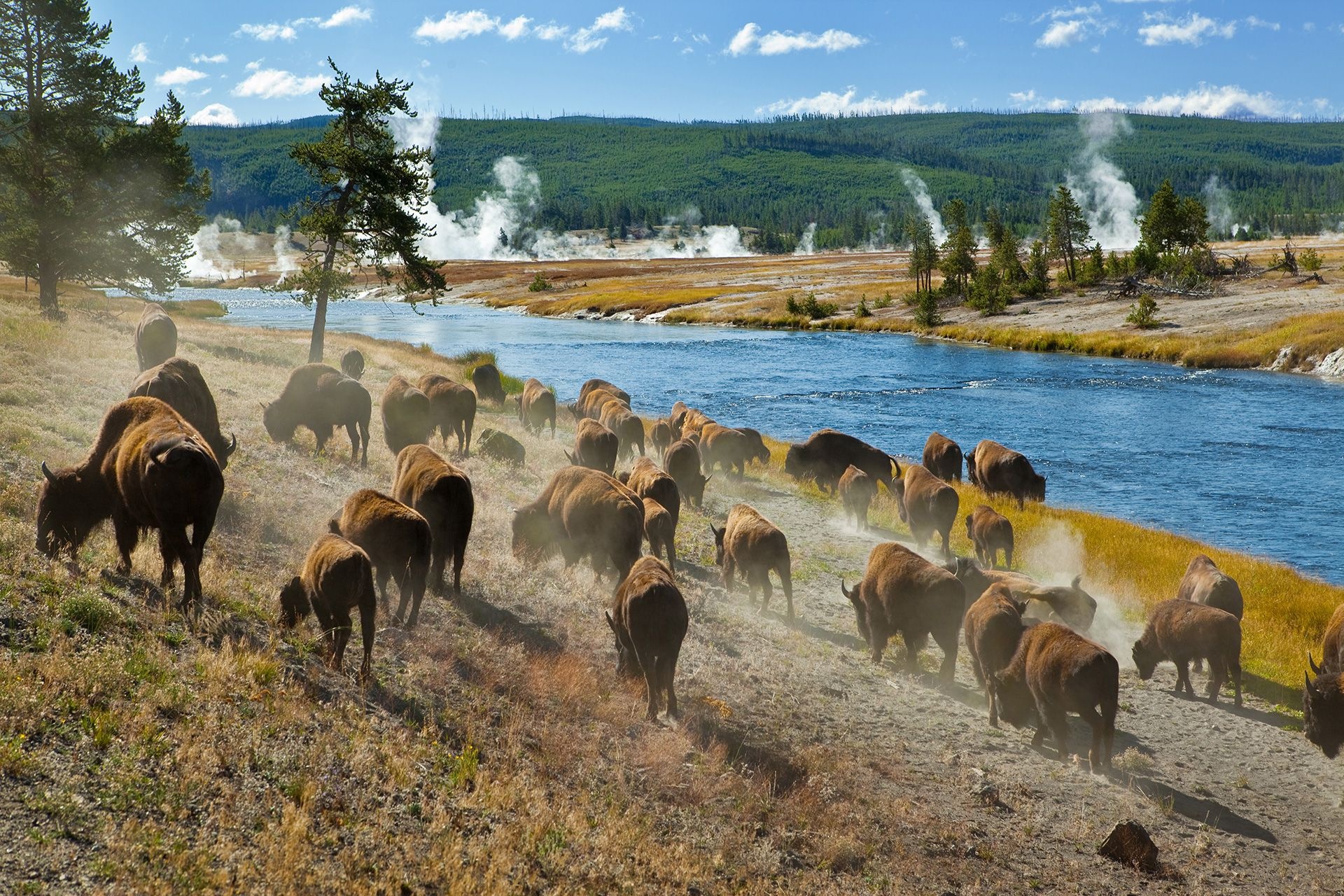 Wyoming Travels, State Wyoming, Belgium, 1920x1280 HD Desktop