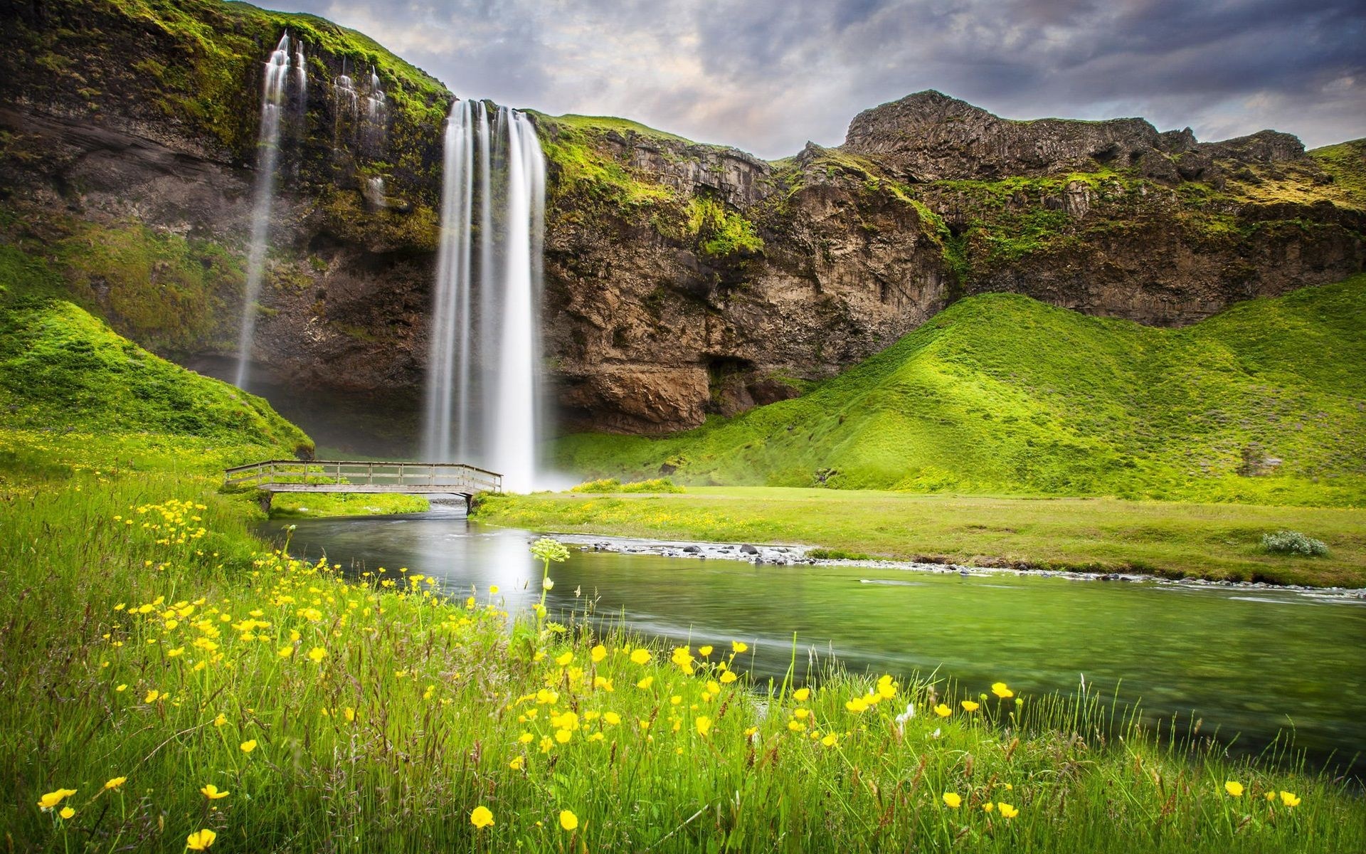 Seljalandsfoss waterfall, wooden footbridge over stream, yellow wildflower meadow, HD Desktop wallpaper