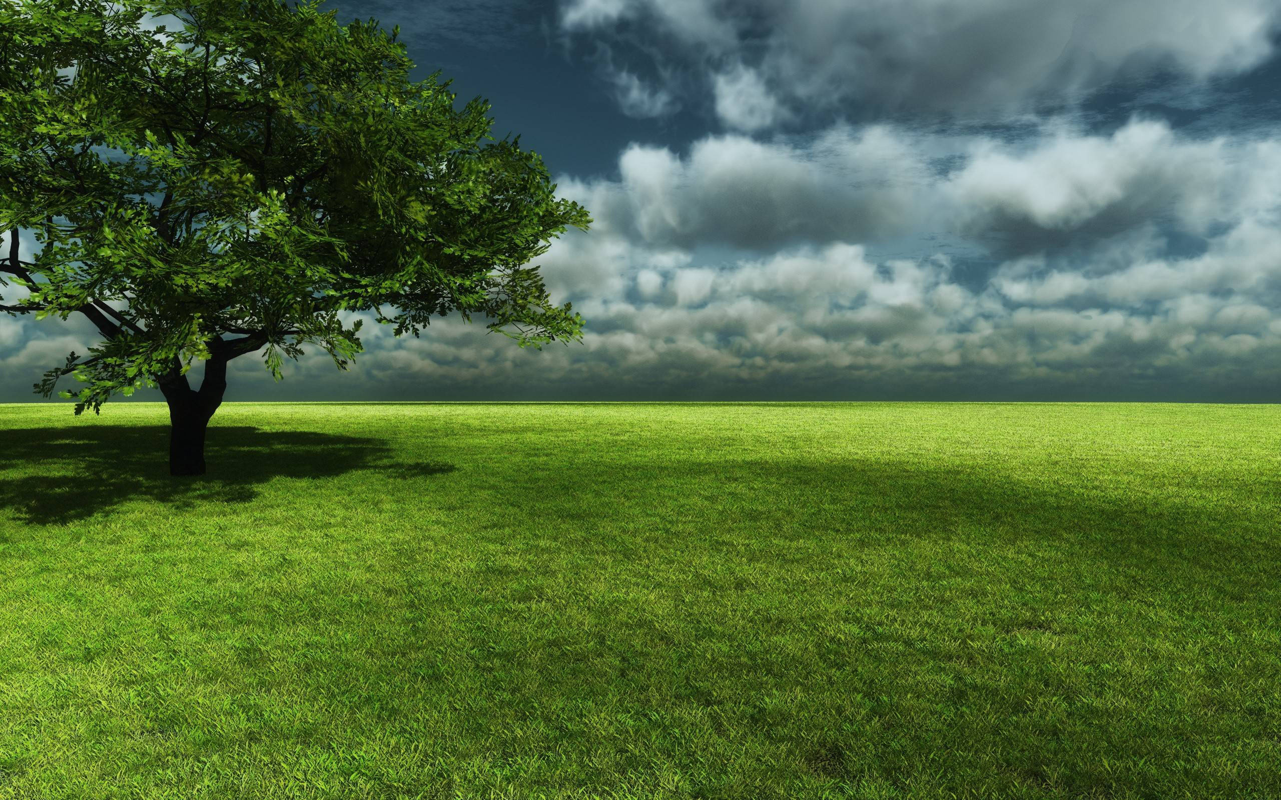 lone green tree, expansive green lawn, dark stormy clouds, HD Desktop wallpaper