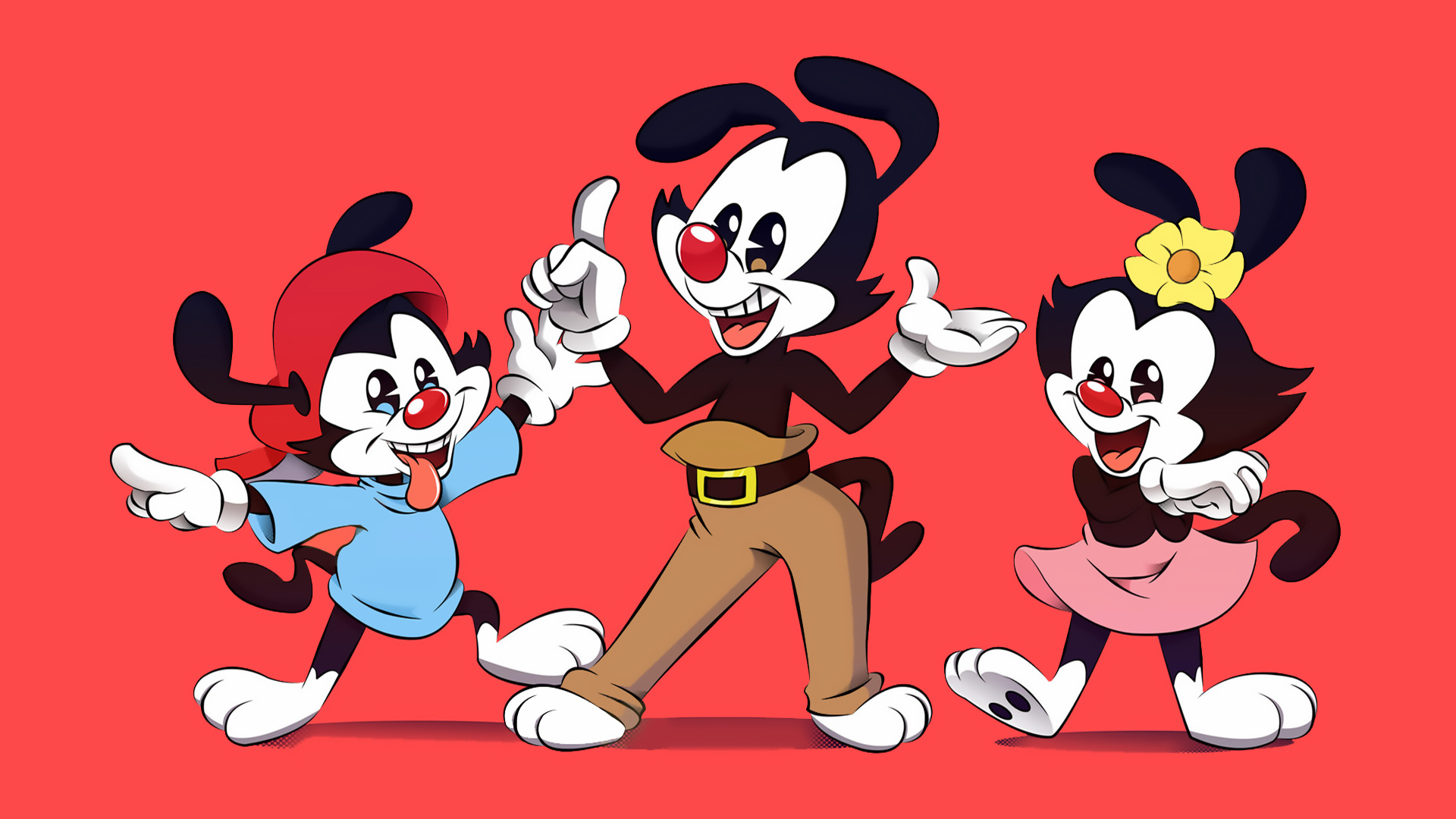 Animaniacs, Details, Launchbox games database, 1920x1080 Full HD Desktop