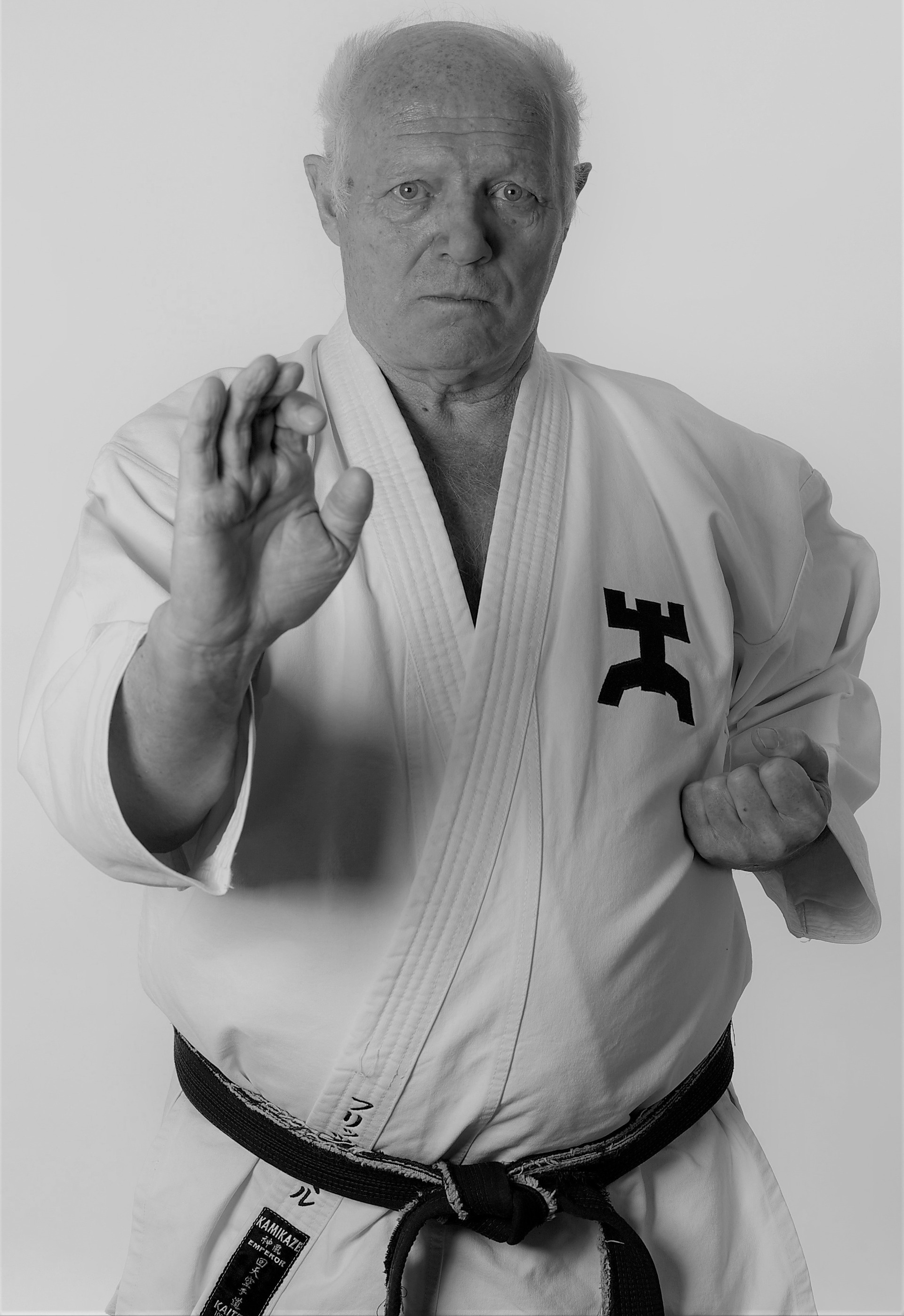 Fritz Nopel, Karate Wallpaper, 1920x2800 HD Phone